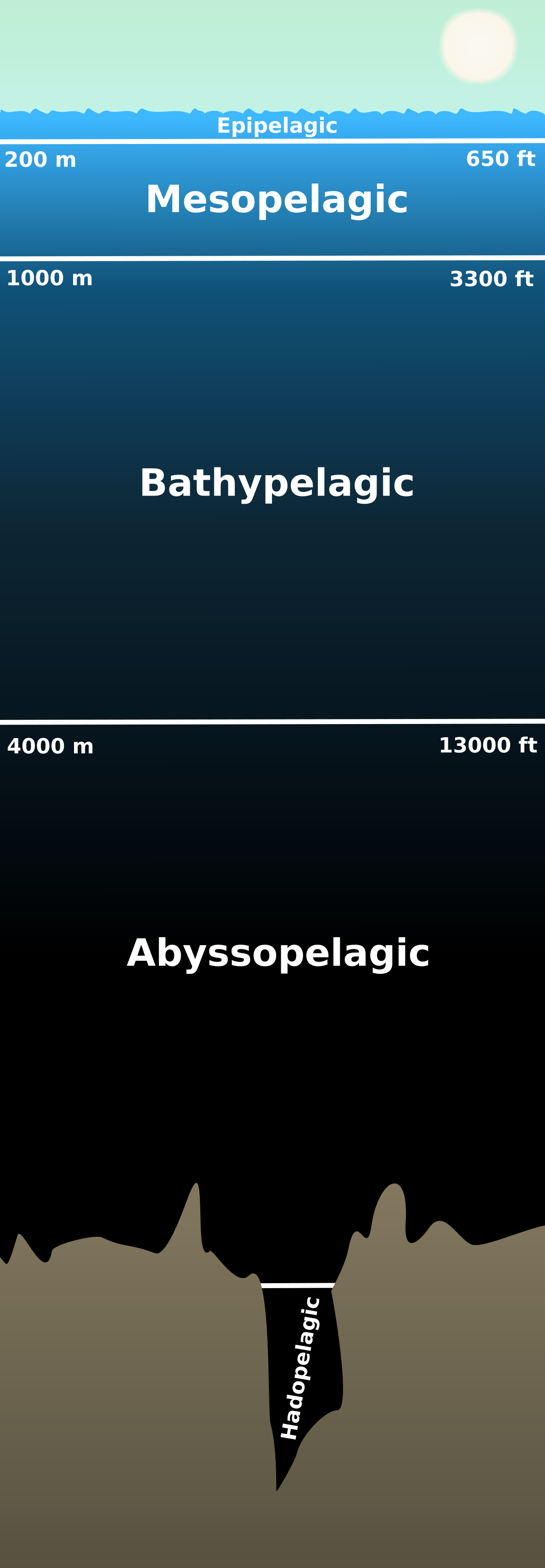 A diagram illustrating the layers of the pelagic zone in the ocean, showing depth in meters and feet. The layers are labeled Epipelagic (0-200 m / 0-650 ft), Mesopelagic (200-1000 m / 650-3300 ft), Bathypelagic (1000-4000 m / 3300-13000 ft), Abyssopelagic (4000 m and below), and Hadopelagic (within trenches).