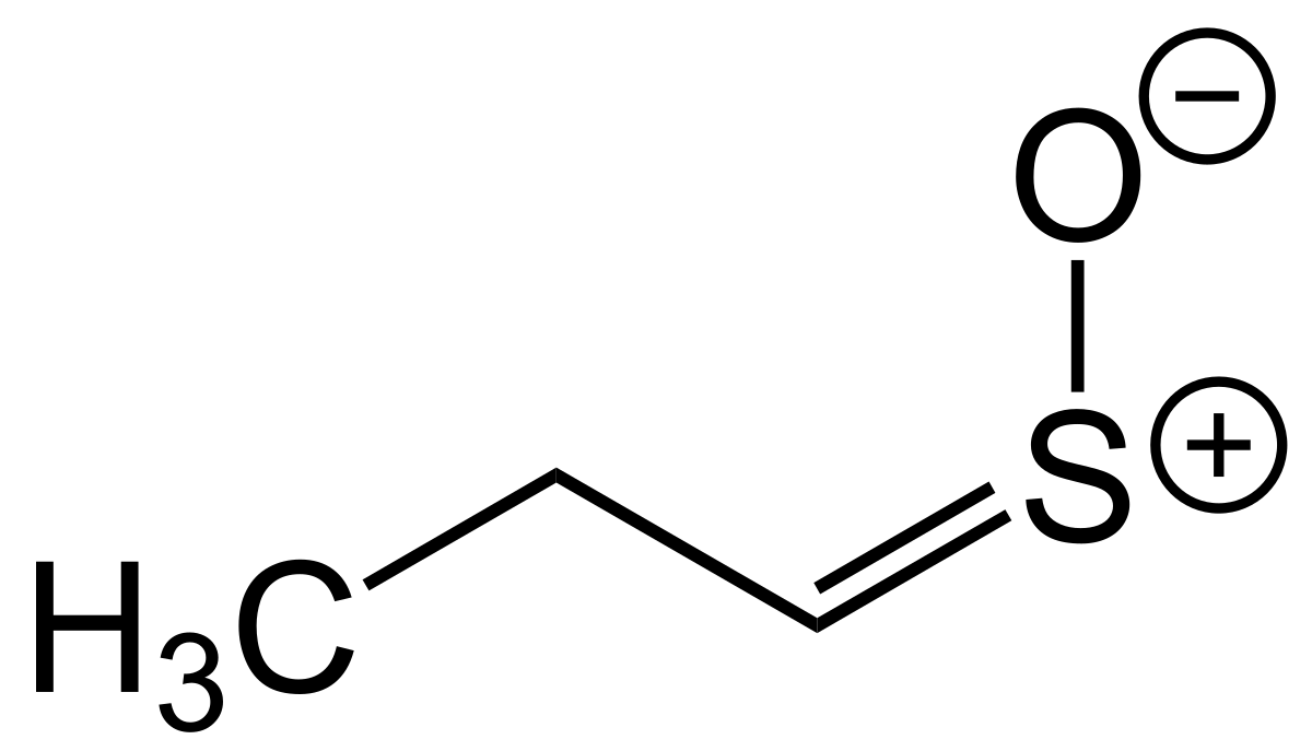 Structural formula of Syn-Propanethial S-oxide, showing a three-carbon chain with a methyl group (H3C) and a double bond to a sulfur atom (S) which is double-bonded to an oxygen atom (O). The sulfur atom carries a positive charge and the oxygen atom carries a negative charge.