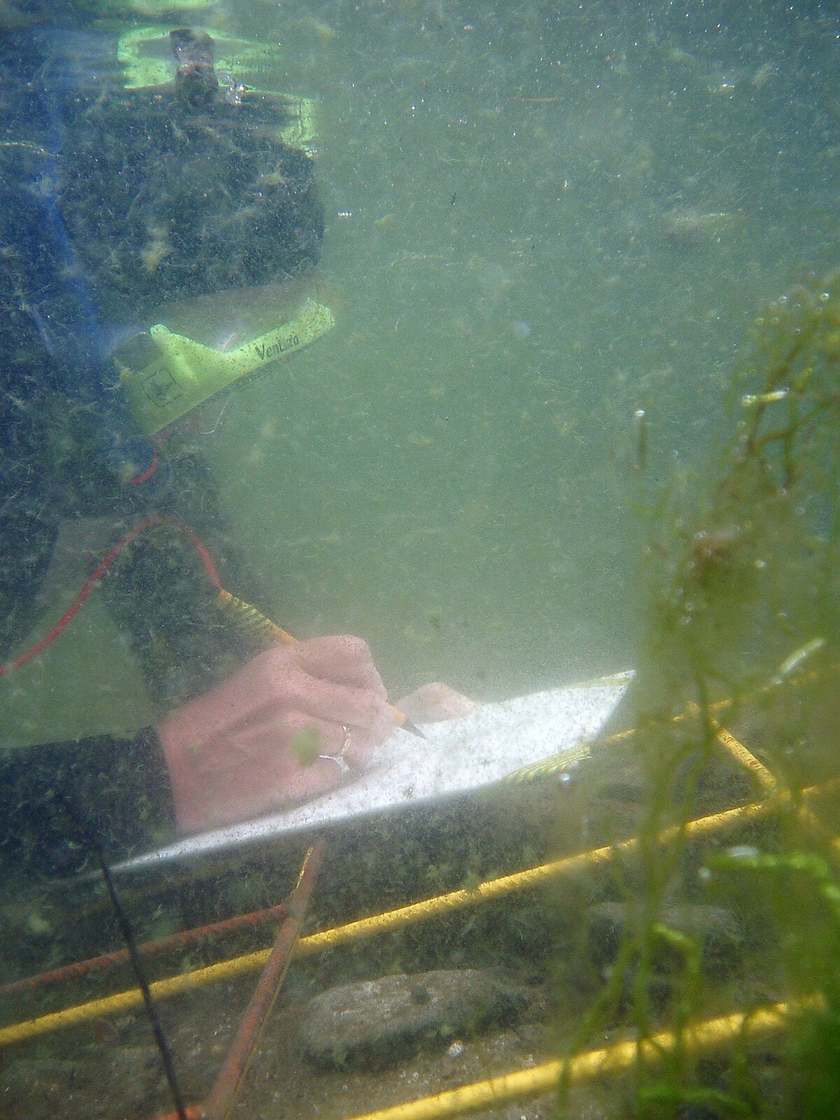 An underwater image of a diver making a scale drawing. The diver is holding a white slate and a pencil, with yellow measuring tapes visible in the foreground, indicating an archaeological grid.