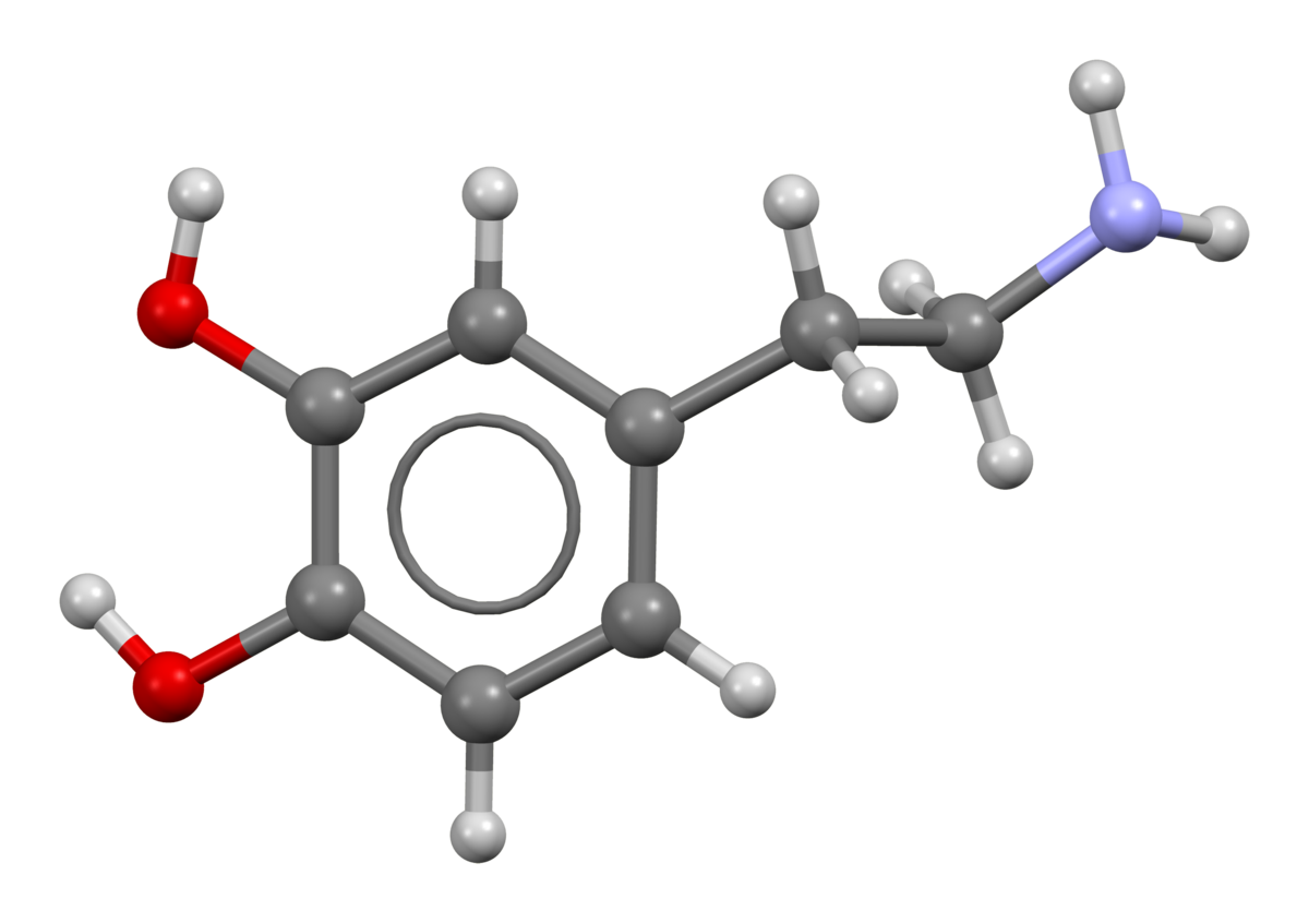 3D ball-and-stick model of a dopamine molecule, showing carbon atoms in gray, oxygen atoms in red, nitrogen atoms in blue, and hydrogen atoms in white. A benzene ring structure is visible in the center.