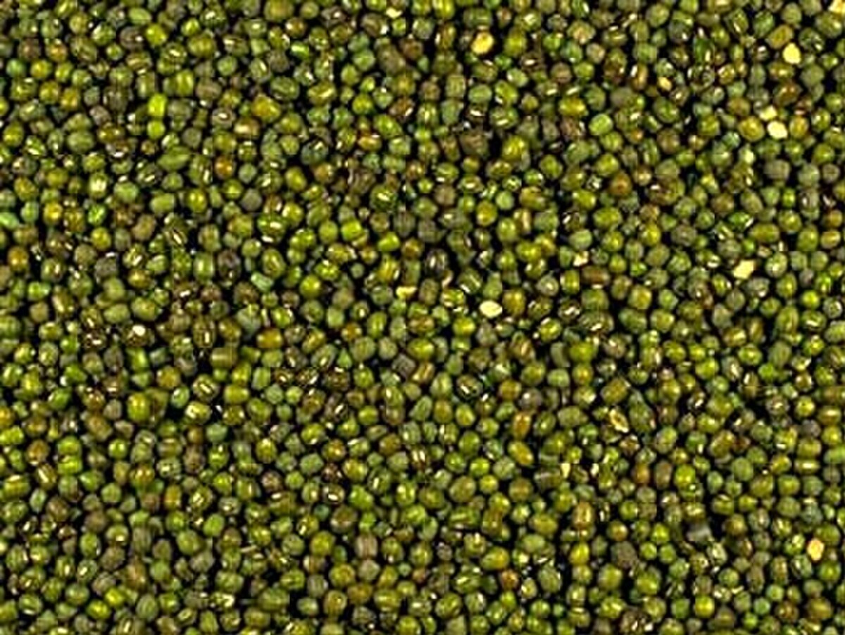 A dense pile of dried whole mung beans showing their characteristic small, oval shape and olive-green skins.