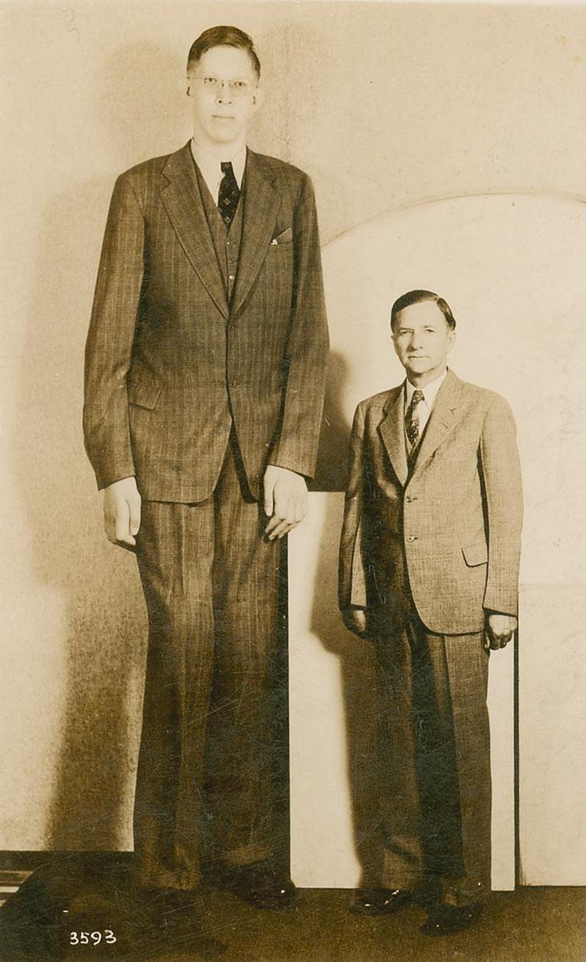 Robert Wadlow, the tallest man in recorded history, stands beside a man of average height in a sepia-toned postcard photograph. Wadlow wears a pinstriped suit and glasses, towering over the other man who is also in a suit. The number "3593" is printed in the bottom left corner.