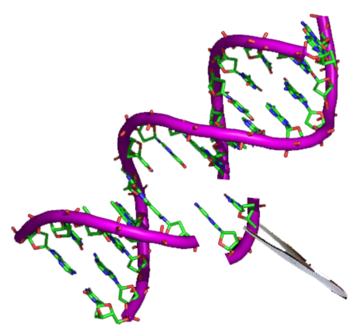 A stylized representation of a DNA double helix being cut by a pair of scissors, symbolizing genetic engineering. The DNA strand is depicted with its sugar-phosphate backbone and nucleotide bases.