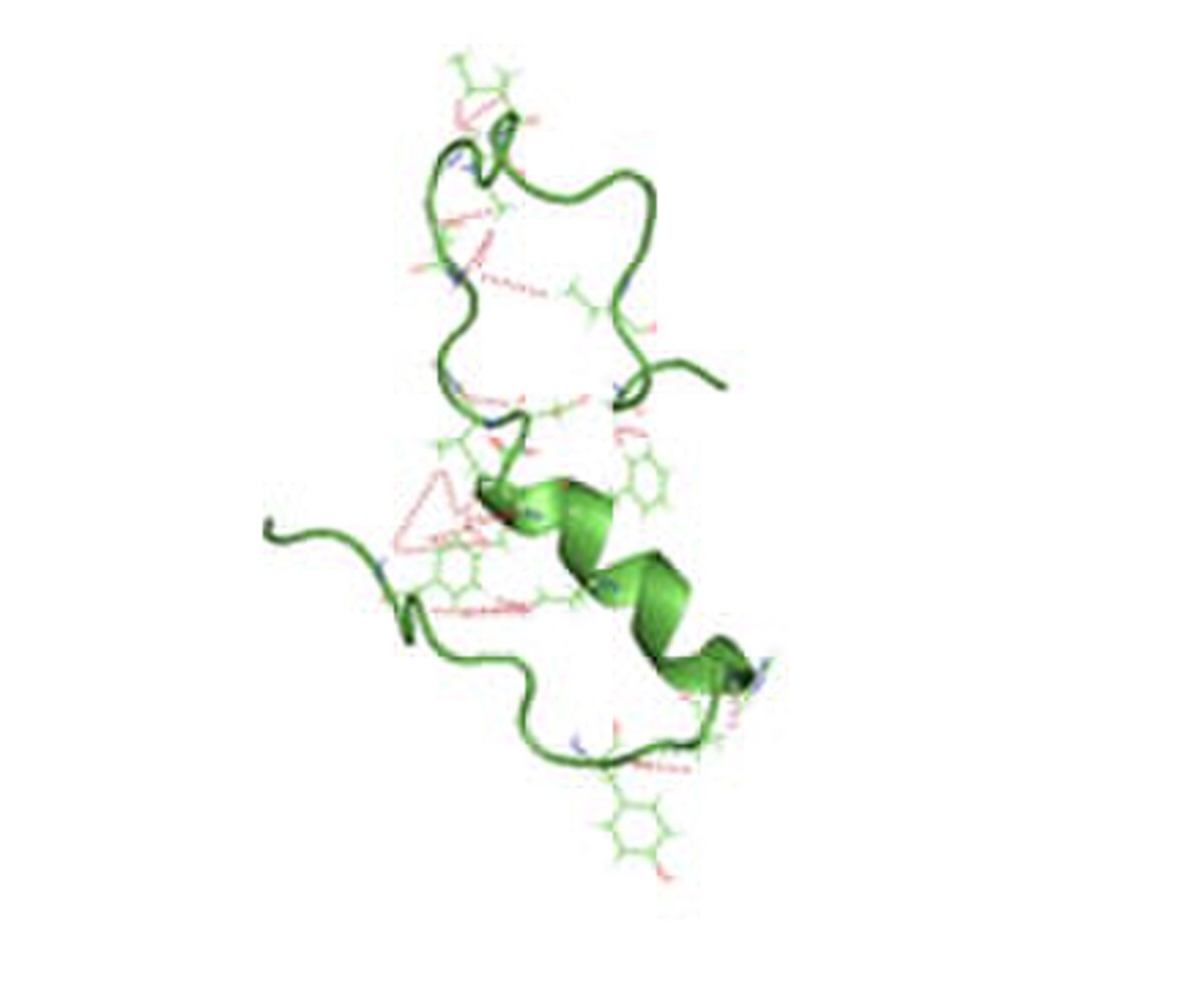 Molecular model of an amyloid beta protein, showing its folded structure with alpha-helices and beta-sheets. Dashed lines indicate hydrogen bonds and other interactions contributing to the protein's tertiary structure.