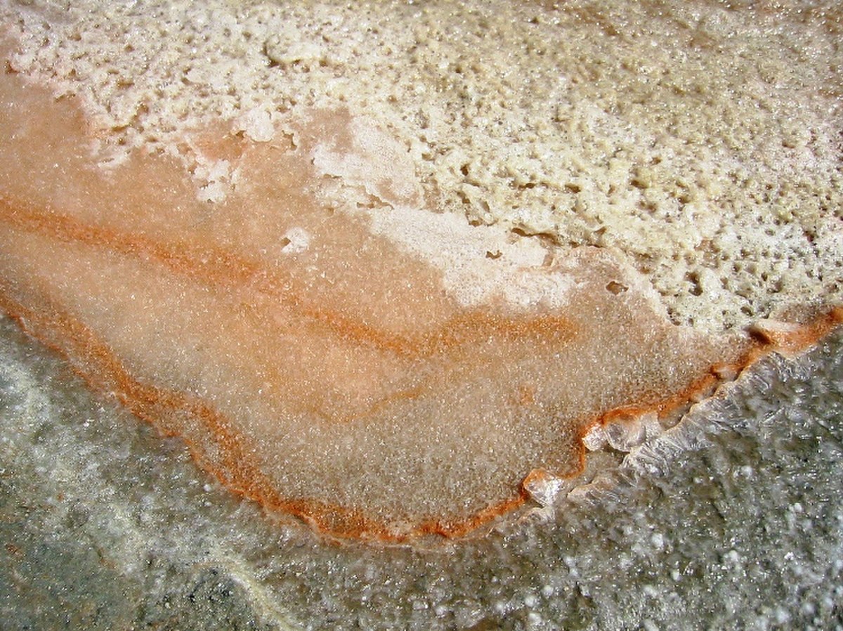 Close-up photograph of "Fleur de sel" sea salt from Île de Ré, showing a delicate layer of white salt crystals with reddish-orange streaks and patterns. The texture is fine and crystalline.