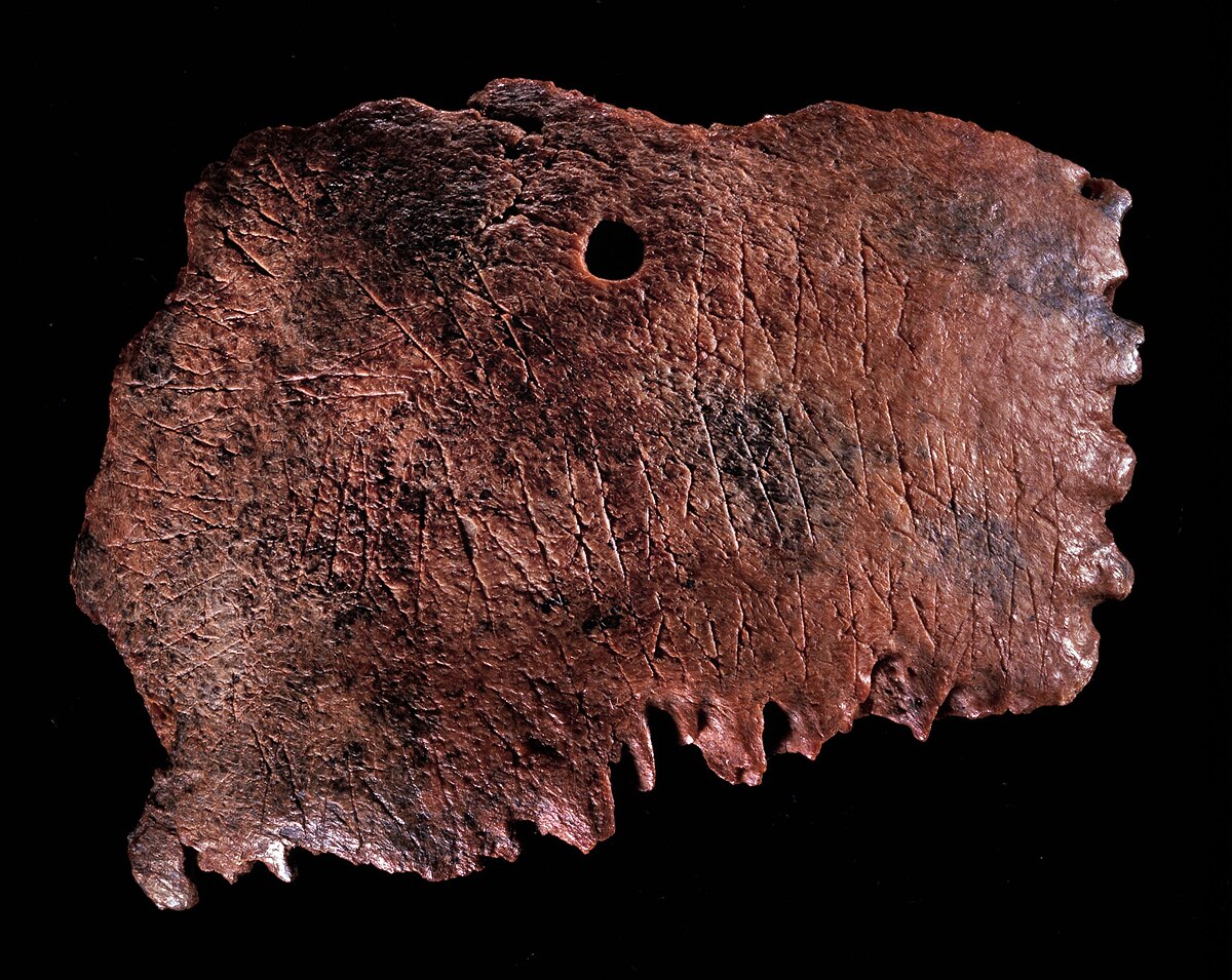 A photograph of a skull fragment from Ribe, Denmark, with visible runic inscriptions and a small hole. The fragment has an irregular shape and a reddish-brown color.