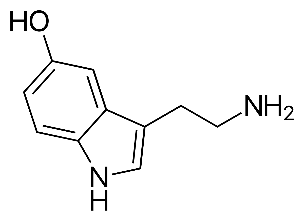 Chemical structure of serotonin, a monoamine neurotransmitter. The molecule consists of an indole ring with a hydroxyl group and an ethylamine side chain.