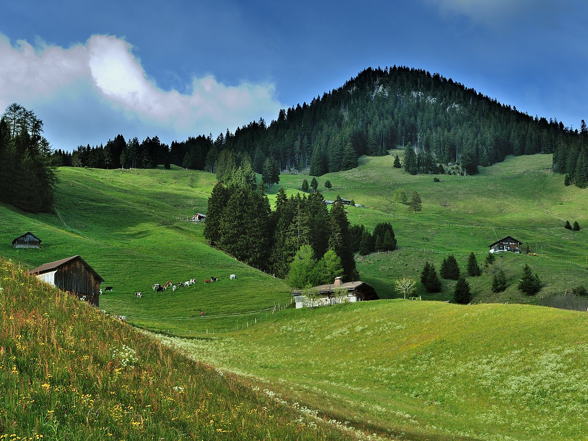 A scenic rural landscape in Vaud, Switzerland, featuring rolling green hills, scattered wooden chalets, and a forested mountain under a blue sky.