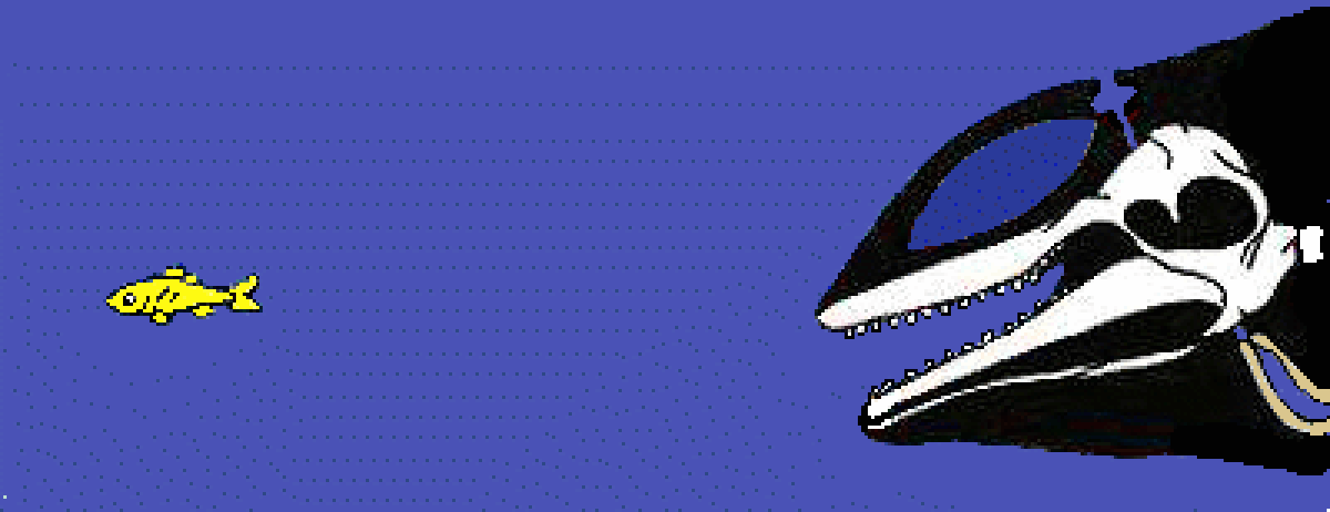 Animated diagram illustrating biosonar by cetaceans, showing a yellow fish in blue water being detected by the skull of an orca. Sound waves are emitted from the orca's head and reflect off the fish.