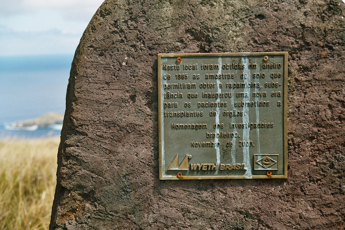 A bronze plaque, written in Portuguese, commemorating the discovery of sirolimus (rapamycin) on Easter Island, near Rano Kau. The plaque is affixed to a rock, with a blurred view of the ocean and distant land in the background.