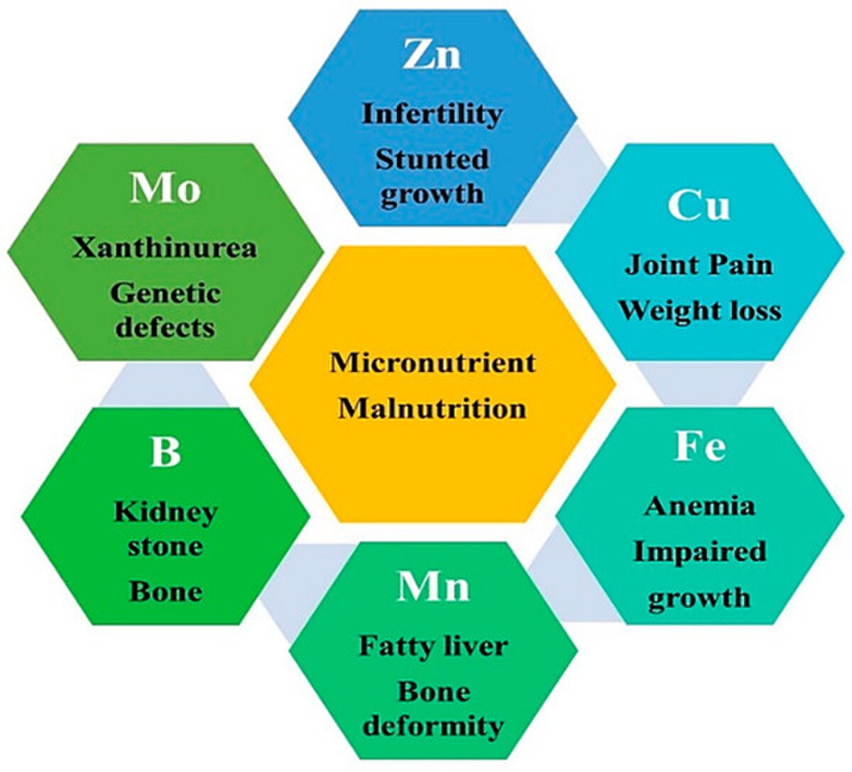 A diagram illustrates the effects of trace element malnutrition (micronutrient malnutrition) on human health, with a central hexagon labeled "Micronutrient Malnutrition". Surrounding hexagons list specific trace elements and their associated health issues: Zn (Infertility, Stunted growth), Cu (Joint Pain, Weight loss), Fe (Anemia, Impaired growth), Mn (Fatty liver, Bone deformity), B (Kidney stone, Bone), and Mo (Xanthinurea, Genetic defects).