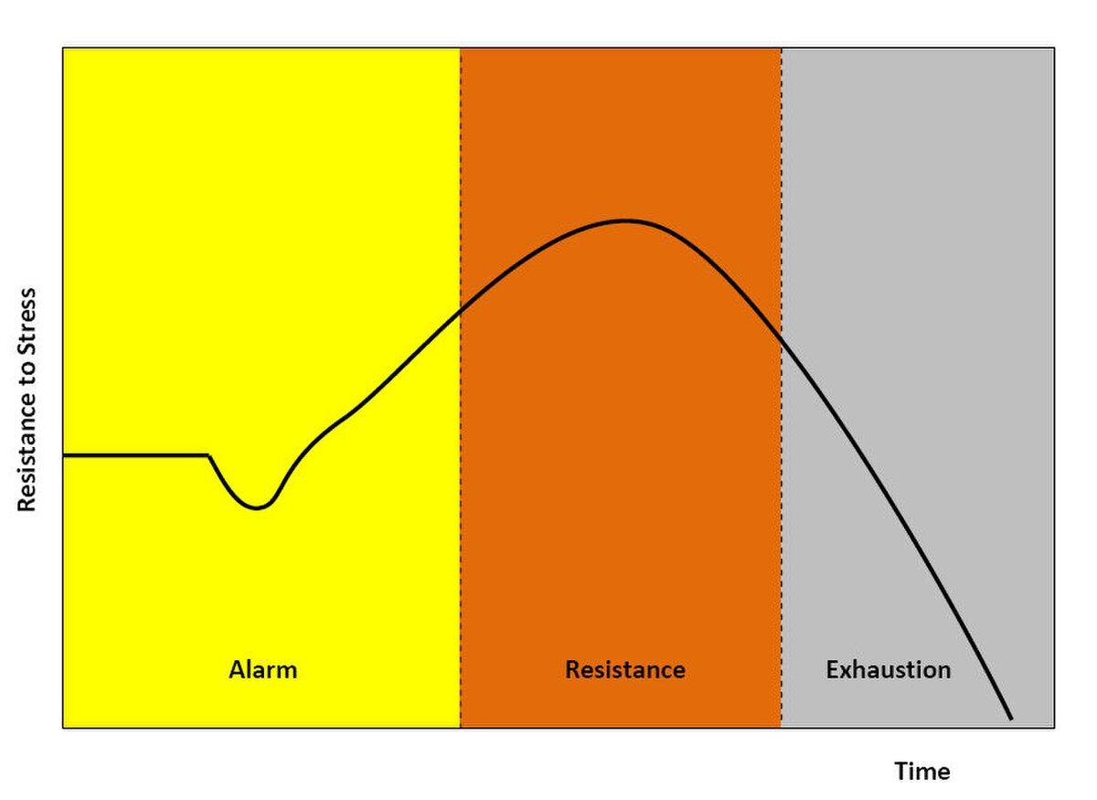 Diagram of the general adaptation syndrome model plotting resistance to stress on the Y-axis against time on the X-axis. The curve is divided into three distinct phases across colored backgrounds: Alarm in yellow, Resistance in orange, and Exhaustion in grey.