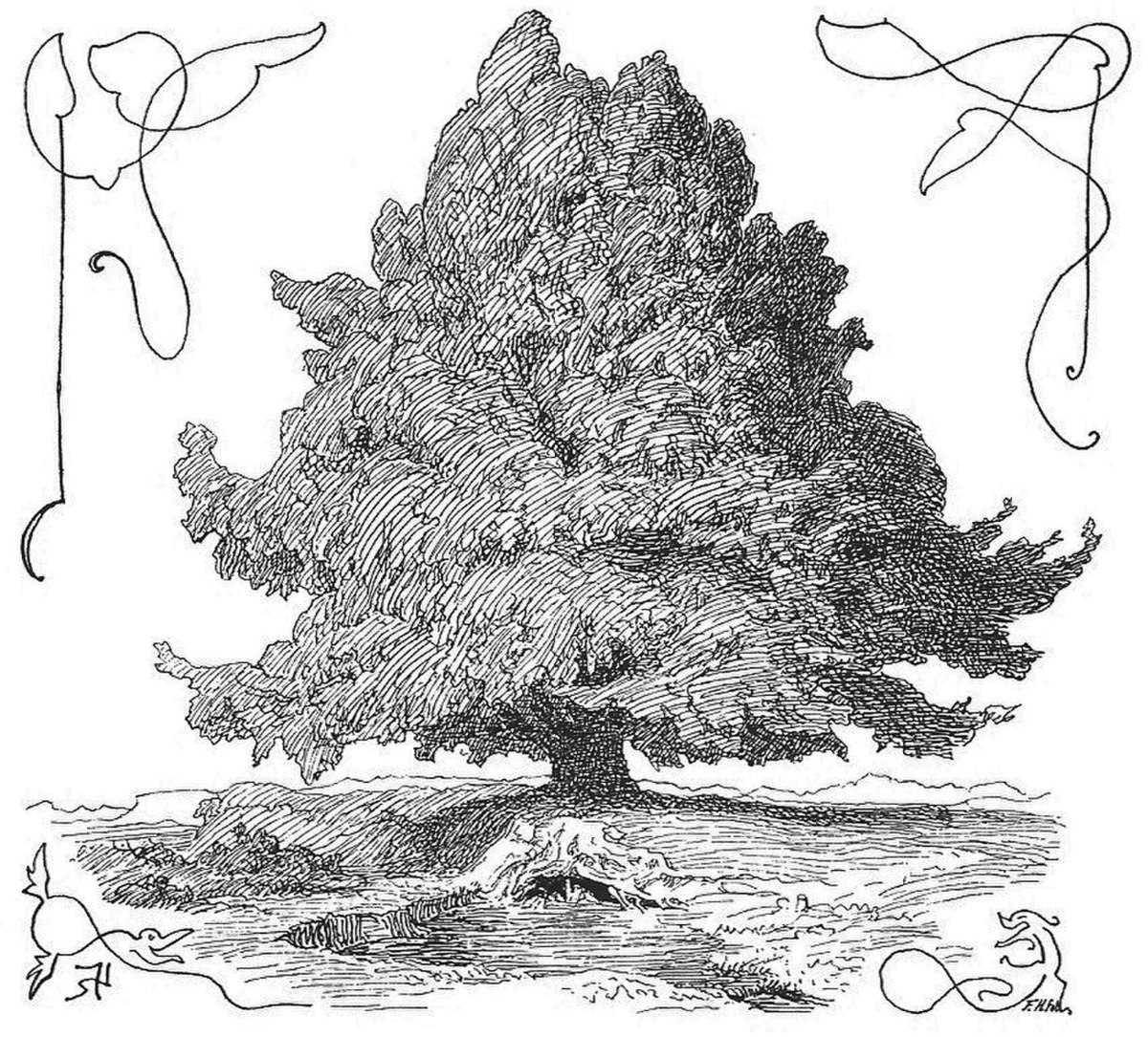 An intricate black and white illustration by Lorenz Frølich from 1895 depicts a large, full-leafed tree, identified as Yggdrasil, with decorative swirling patterns in the corners. The tree stands on a small mound with visible roots.