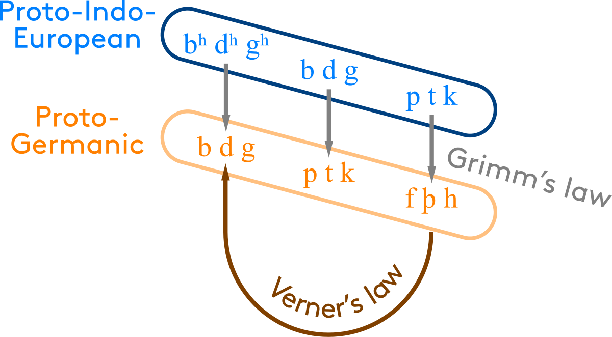 Diagram illustrating Grimm's law and Verner's law, showing sound changes from Proto-Indo-European to Proto-Germanic. Proto-Indo-European voiceless stops (p t k) become Proto-Germanic fricatives (f þ h) via Grimm's law, while voiced aspirated stops (bʰ dʰ gʰ) become voiced stops (b d g), and voiced stops (b d g) become voiceless stops (p t k). Verner's law shows a further change from Proto-Germanic fricatives (f þ h) to voiced stops (b d g) under certain conditions.