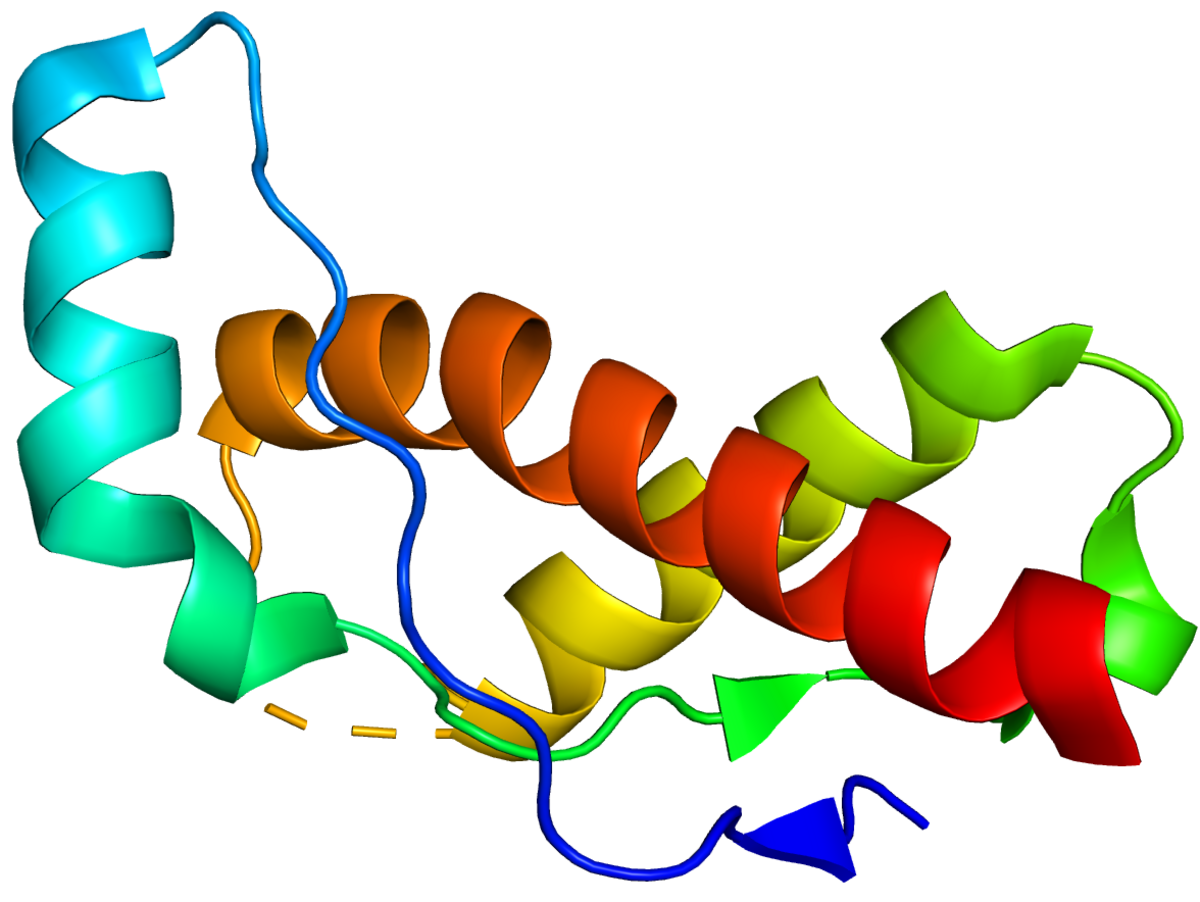A ribbon diagram of a prion protein structure, identified as PDB 6DU9, displaying a complex arrangement of alpha-helices and loops in various colors. The structure is rendered against a white background.