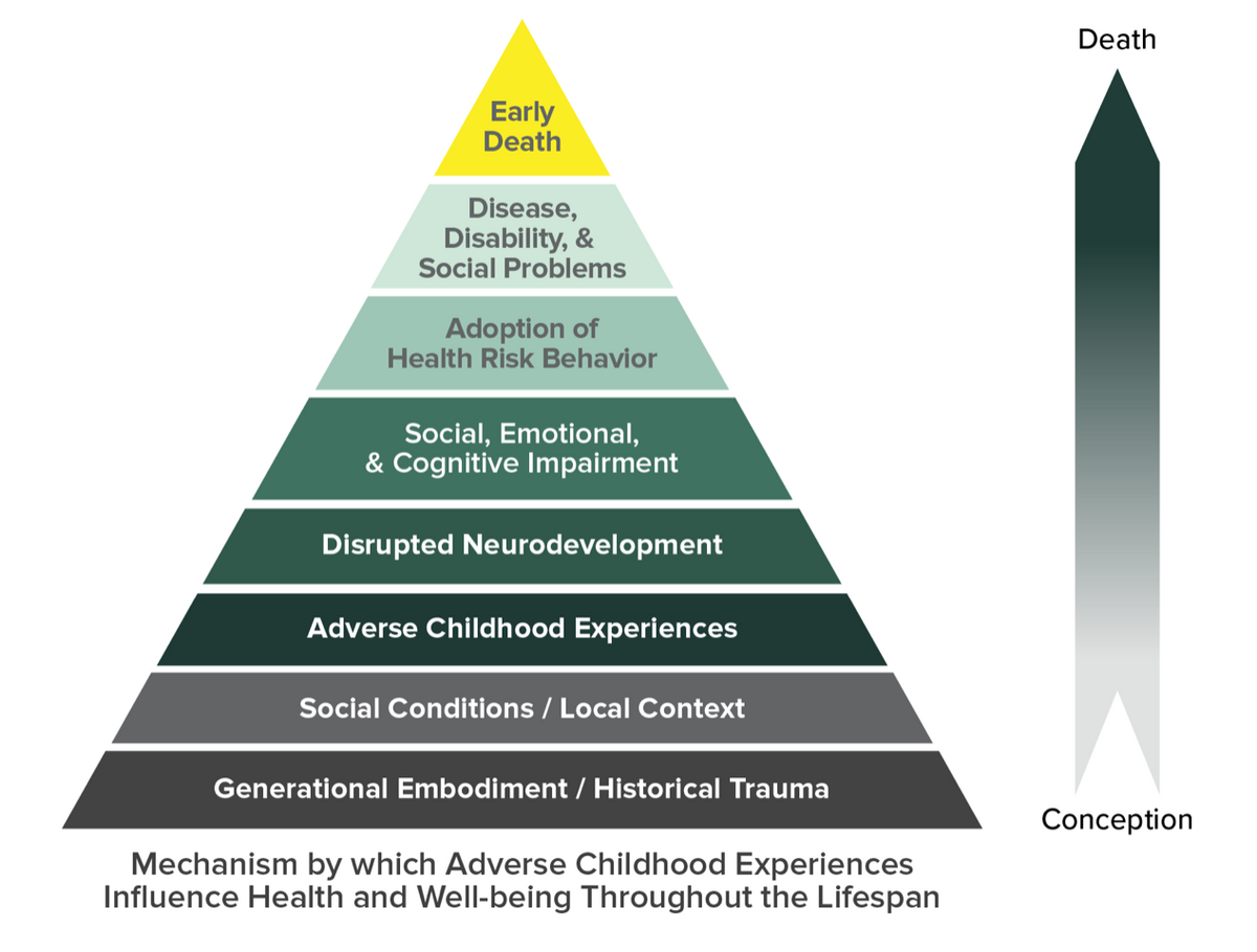 The ACE Pyramid illustrates the mechanism by which Adverse Childhood Experiences influence health and well-being throughout the lifespan, from 'Generational Embodiment / Historical Trauma' at the base to 'Early Death' at the apex. The pyramid layers include 'Social Conditions / Local Context', 'Adverse Childhood Experiences', 'Disrupted Neurodevelopment', 'Social, Emotional, & Cognitive Impairment', 'Adoption of Health Risk Behavior', and 'Disease, Disability, & Social Problems'. A vertical gradient bar on the right indicates the progression from 'Conception' to 'Death'.