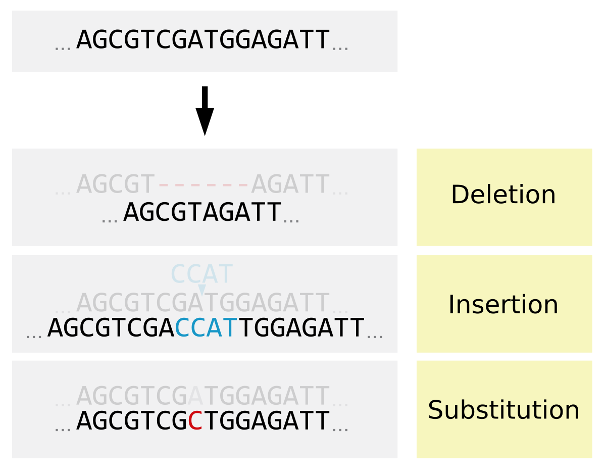 Diagram illustrating three types of small-scale mutations: deletion, insertion, and substitution. The original DNA sequence is "AGCTCGATGGAGATT", with a deletion removing "CGATGG", an insertion adding "CCAT", and a substitution changing 'T' to 'C'.