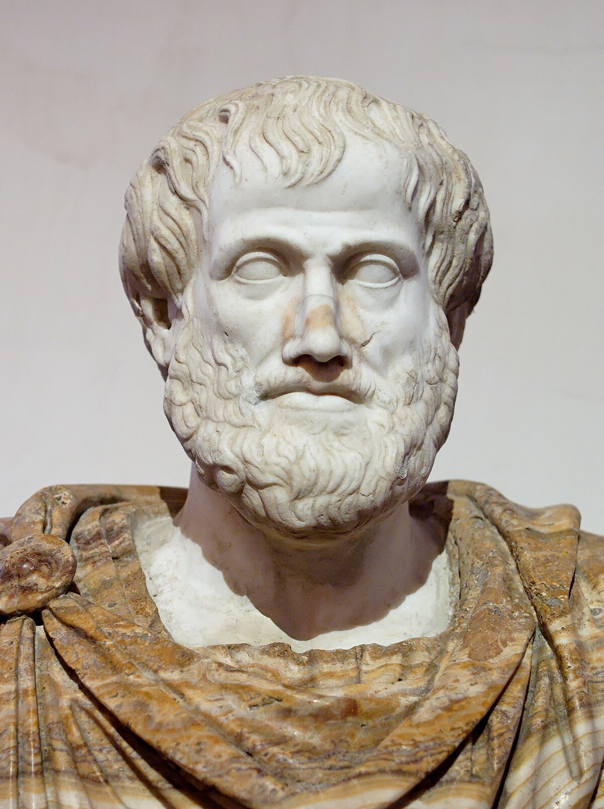 A marble bust of Aristotle, depicting him with a beard and draped clothing. The sculpture captures a thoughtful expression, characteristic of ancient Greek philosophical representations.