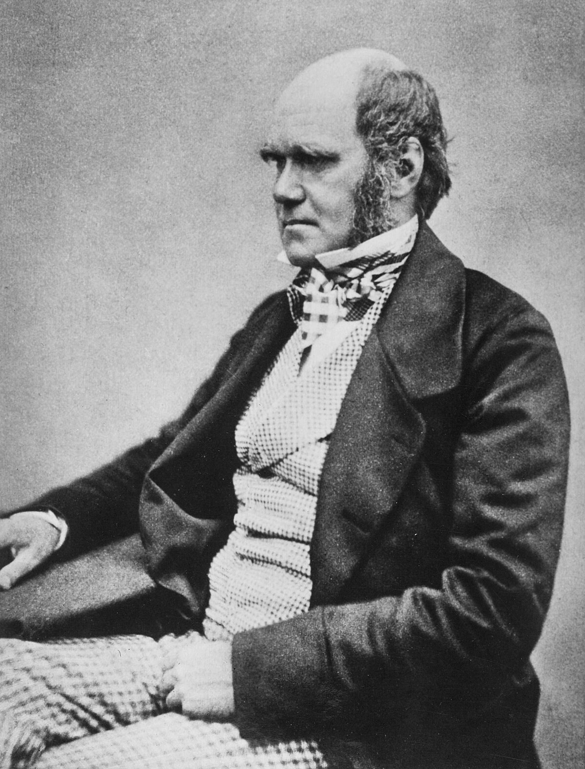 A black and white portrait of Charles Darwin, seated and looking to the right. He is depicted with a balding head, sideburns, and wearing a dark suit with a patterned cravat.