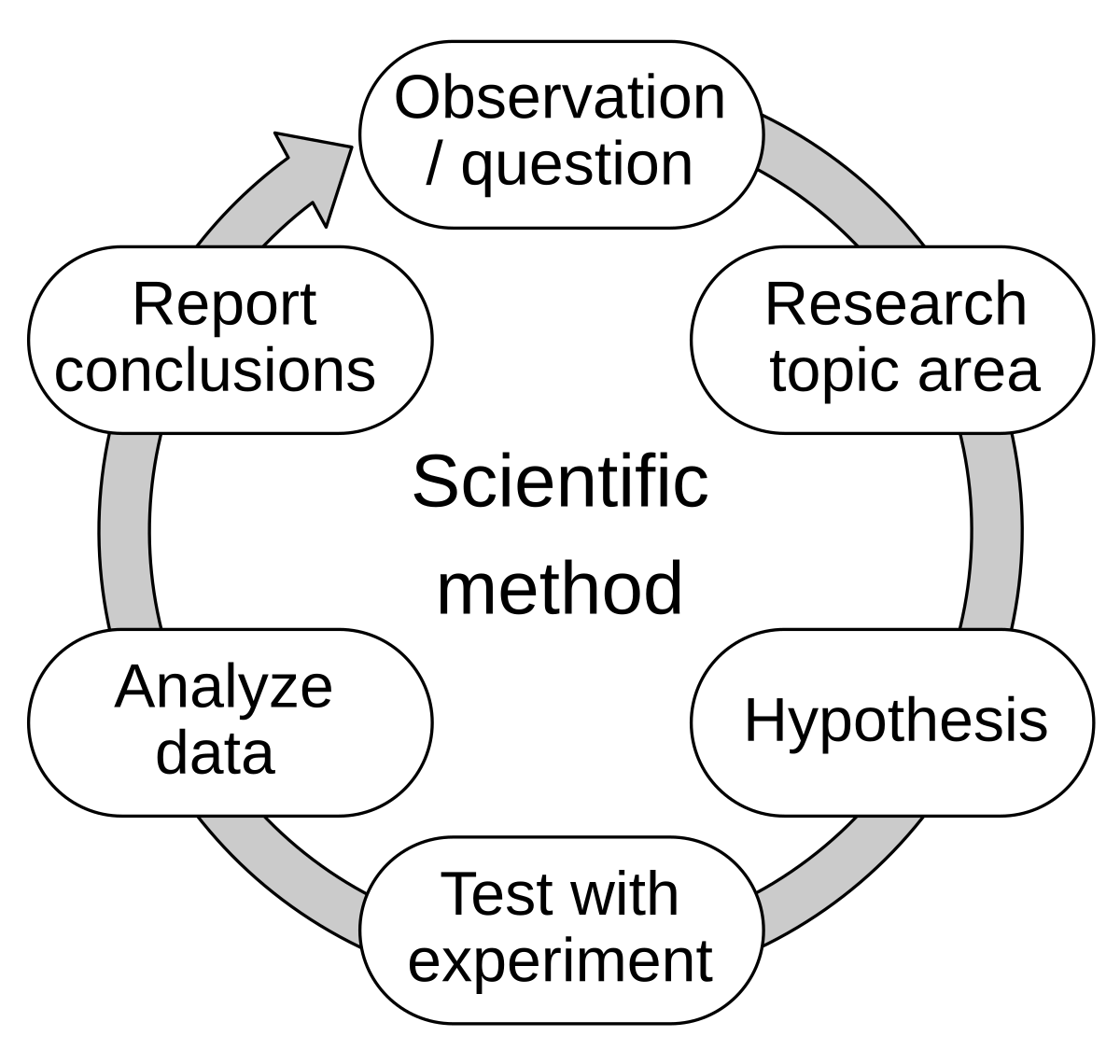 A circular diagram illustrating the Scientific Method as a continual improvement process. The steps are 'Observation / question', 'Research topic area', 'Hypothesis', 'Test with experiment', 'Analyze data', and 'Report conclusions', connected by arrows in a clockwise direction.