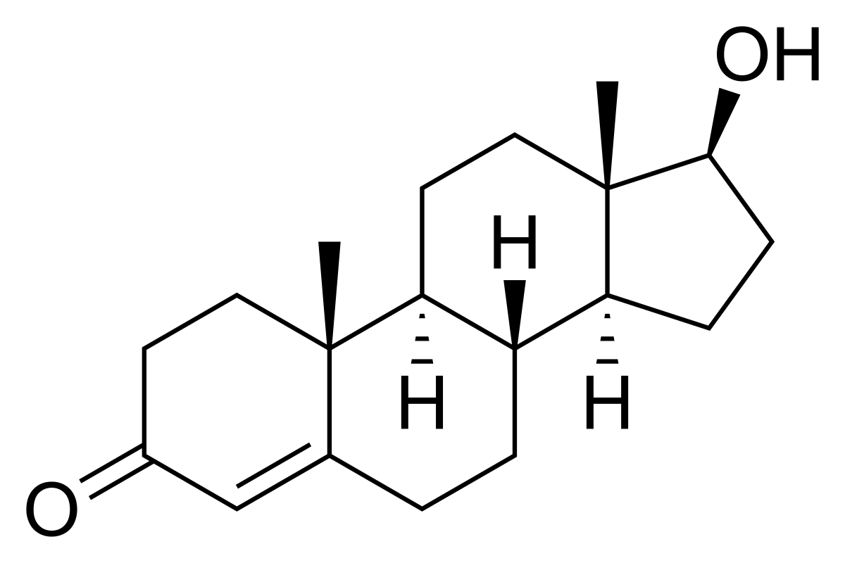Skeletal formula of Testosterone, a steroid hormone. The chemical structure features a four-ring system, a hydroxyl group (OH), and a carbonyl group (O).
