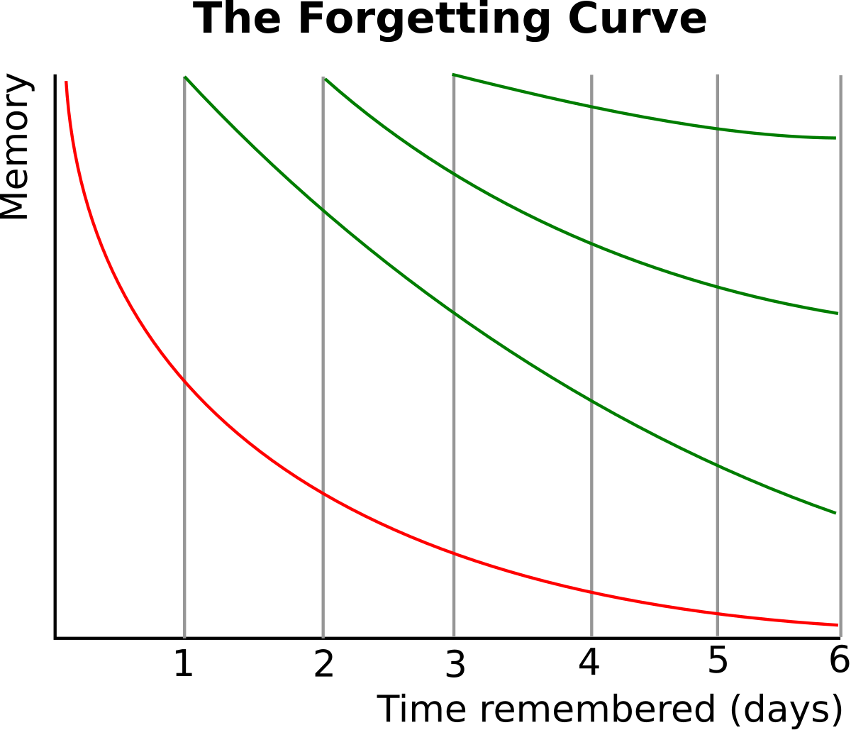 Graph illustrating the forgetting curve and the effect of spaced repetition on memory retention. The Y-axis represents Memory and the X-axis represents Time remembered (days), showing how repeated review (green curves) flattens the initial rapid decline in memory (red curve).