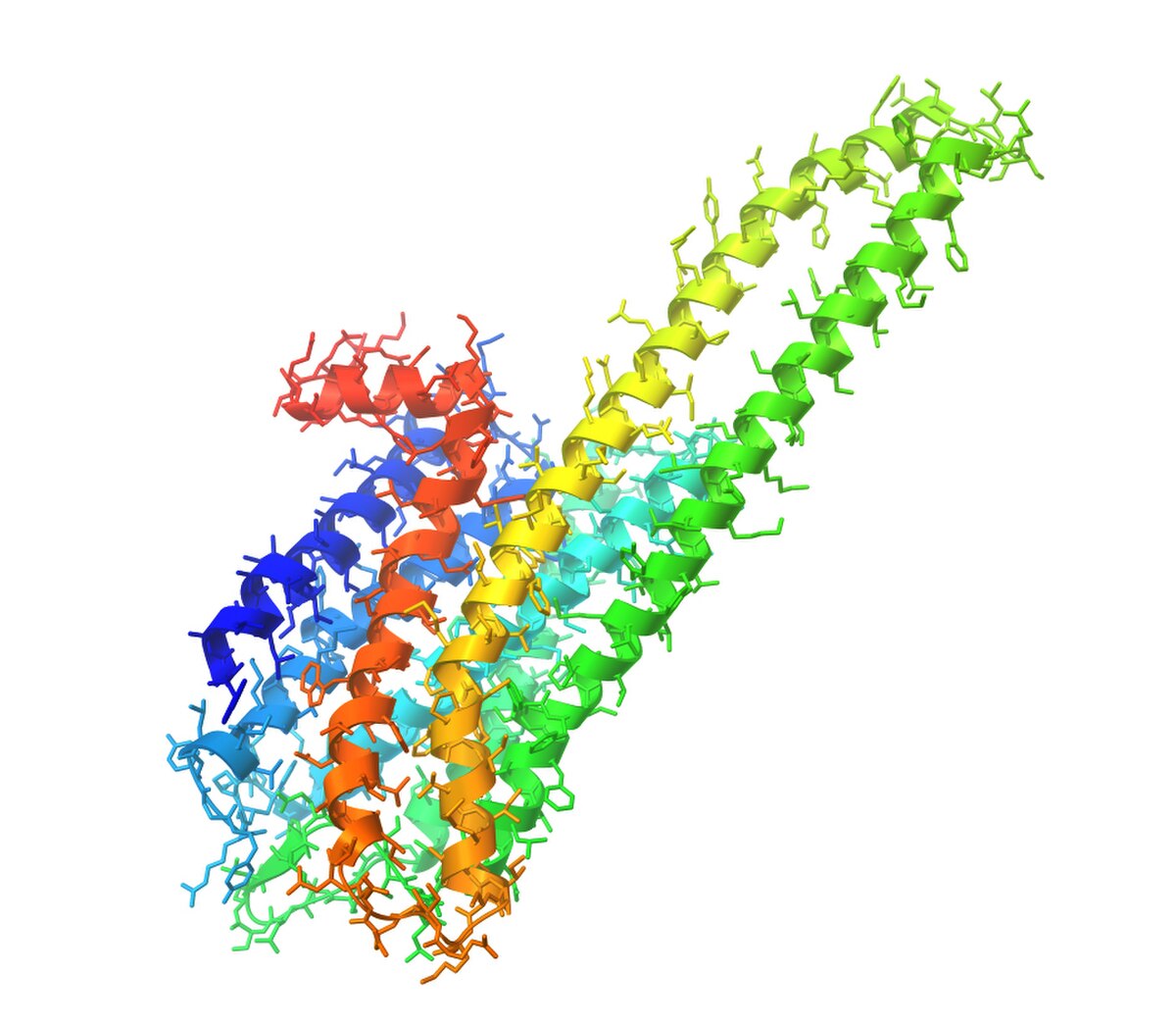 A molecular model of the serotonin 5-HT2A receptor is displayed, showing its complex helical structure in a rainbow color scheme. The protein structure is composed of multiple alpha-helices, characteristic of G protein-coupled receptors.