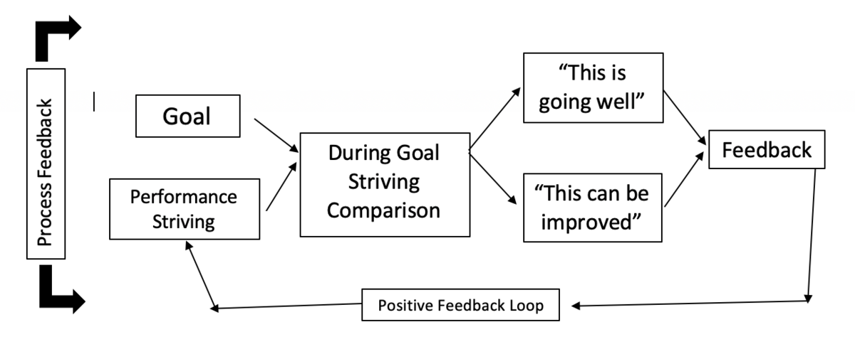 A block diagram illustrating a process-based positive feedback loop. The loop shows "Goal" and "Performance Striving" feeding into "During Goal Striving Comparison", which leads to "This is going well" or "This can be improved", both feeding into "Feedback", which then influences "Performance Striving" through a "Positive Feedback Loop".