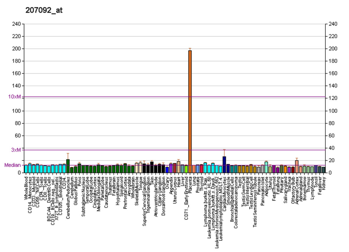 A bar graph showing the expression levels of the LEP (leptin) gene across various human tissues and cell types. The Y-axis represents expression level, with a prominent peak indicating high expression in "Adipocyte" tissue, and horizontal lines marking "3xM" and "10xM" (multiples of median expression).
