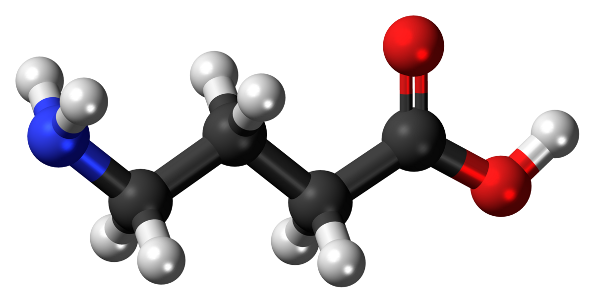 A 3D ball-and-stick model of a GABA molecule, with atoms represented by spheres: black for carbon (C), white for hydrogen (H), red for oxygen (O), and blue for nitrogen (N).