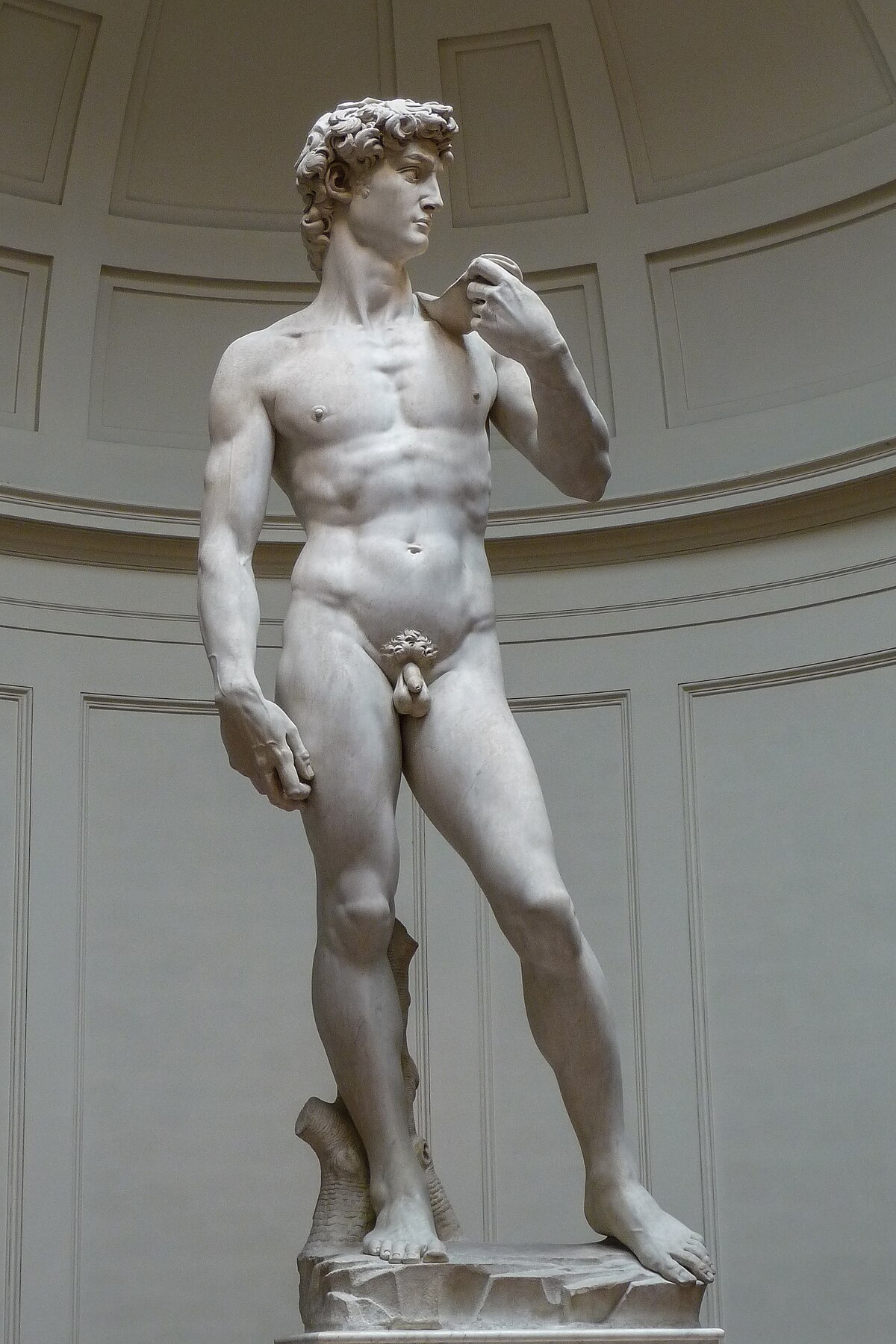 Michelangelo's marble statue of David, created between 1501 and 1504, stands in a well-lit gallery. The sculpture emphasizes the anatomical details of the human form, characteristic of Renaissance art.