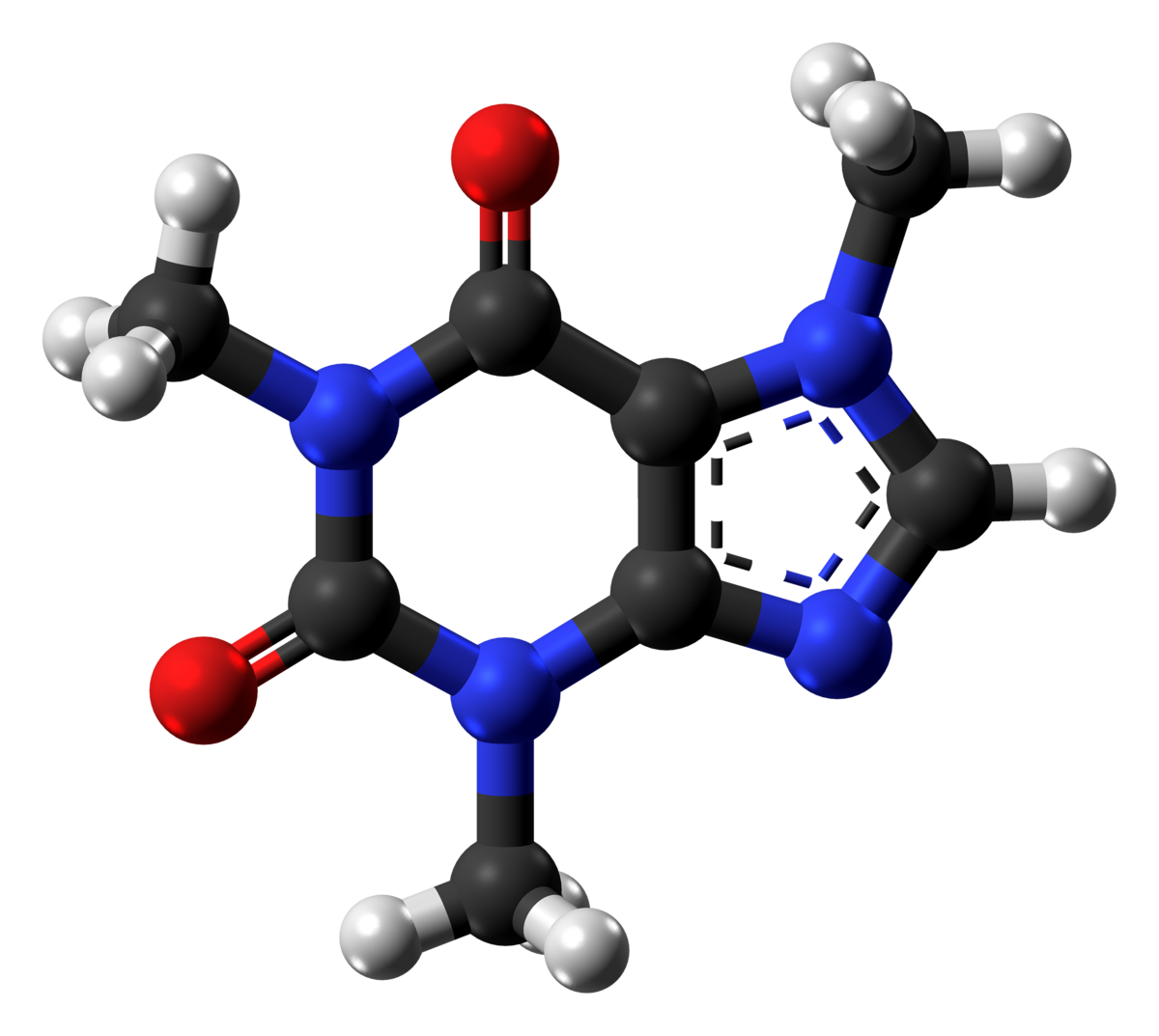 A ball-and-stick model of the caffeine molecule, showing carbon atoms in black, oxygen in red, nitrogen in blue, and hydrogen in white. The molecular structure highlights the double bonds and ring systems characteristic of caffeine.