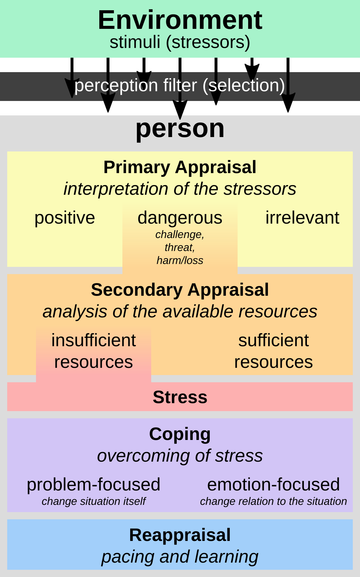 Diagram illustrating Richard Lazarus's Transactional Model of Stress and Coping. The model shows how environmental stimuli (stressors) are filtered by perception, leading to primary appraisal (interpretation as positive, dangerous, or irrelevant) and secondary appraisal (analysis of resources as insufficient or sufficient), which then leads to stress, coping (problem-focused or emotion-focused), and reappraisal.