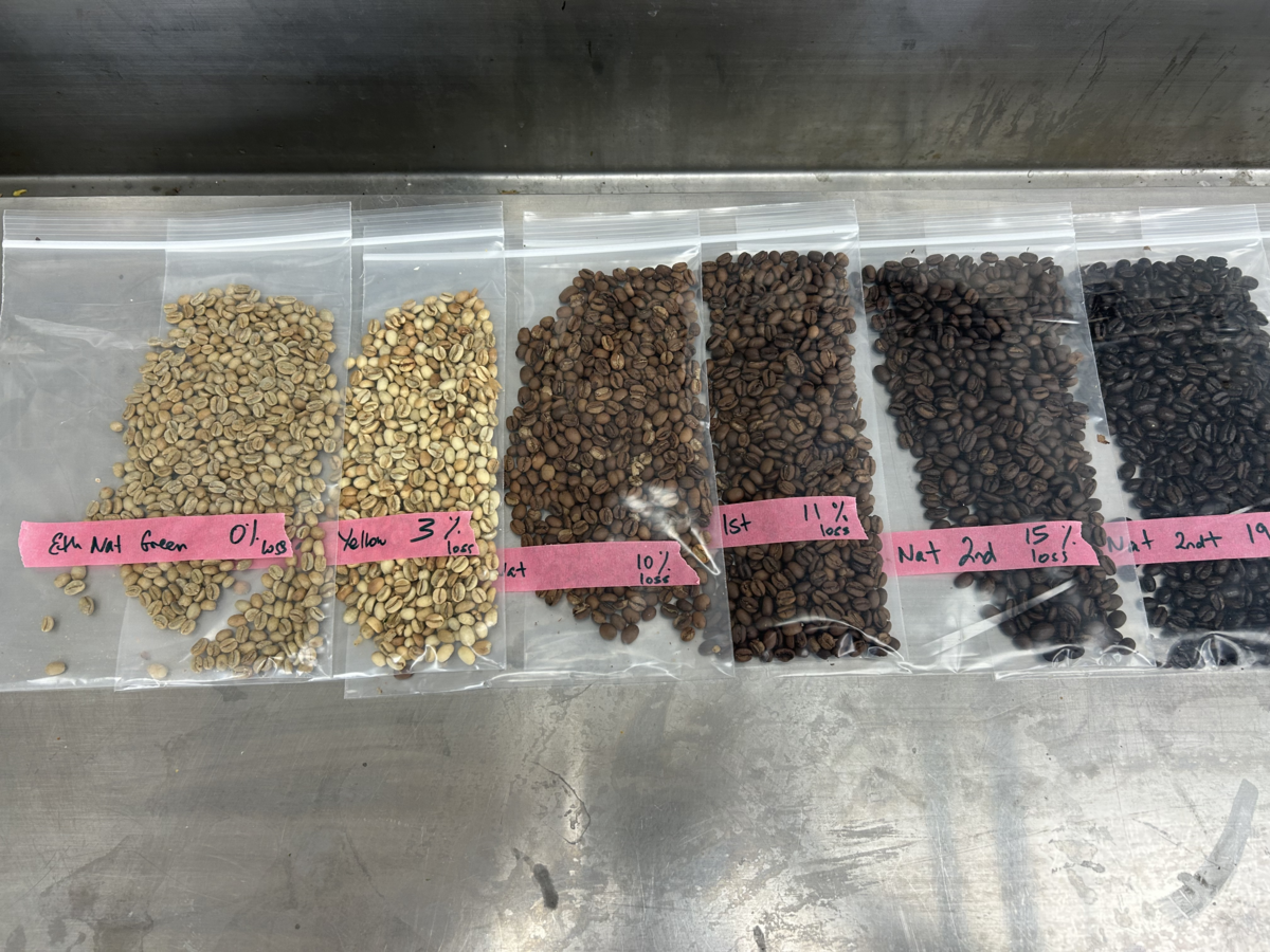 Six clear plastic bags display the color progression of coffee beans during the roasting process, from green to very dark brown. The bags are labeled with roasting stages and percentage loss: "Grn Nat Green 0%", "Yellow 3% loss", "1st 10% loss", "1st 11% loss", "Nat 2nd 15% loss", and "Nat 2nd 19% loss".