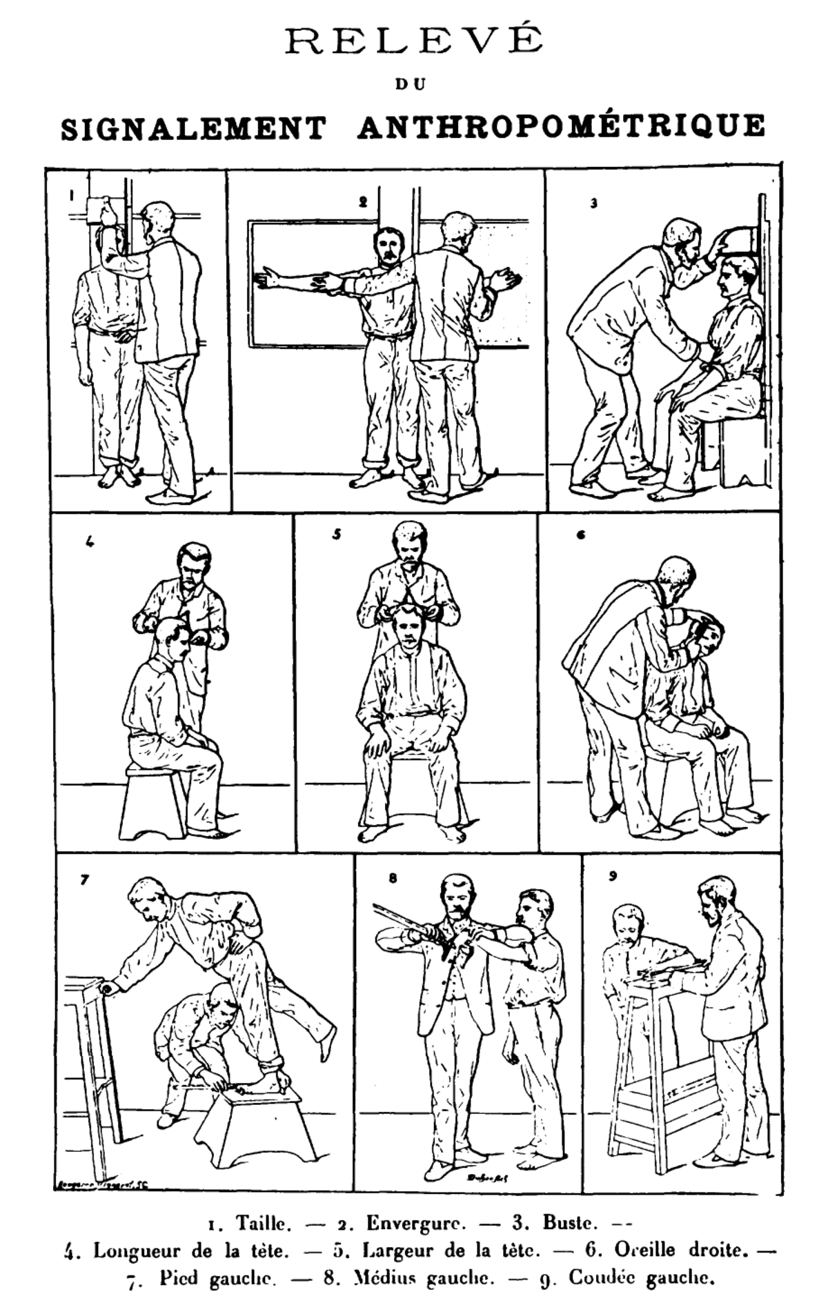 A frontispiece from Bertillon's "Identification anthropométrique" (1893) displays nine illustrations demonstrating the measurements required for his anthropometric identification system. Each illustration shows an individual being measured for specific body parts, such as height, arm span, bust, head length, head width, right ear, left foot, left middle finger, and left forearm.