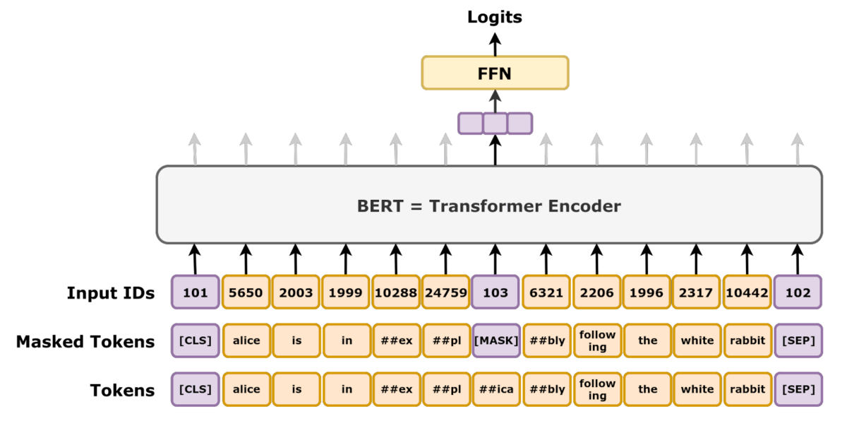 Diagram illustrating the BERT masked language modeling task, showing the process of input IDs being fed into a Transformer Encoder. The input begins with a [CLS] token, followed by tokens like "alice is in # #ex # #pl [MASK] # #bly follow the white rabbit" and ending with a [SEP] token, which correspond to numerical input IDs, where the [MASK] token (ID 103) is used to predict the original token "# #ica" via a Feed Forward Network (FFN) to produce logits.