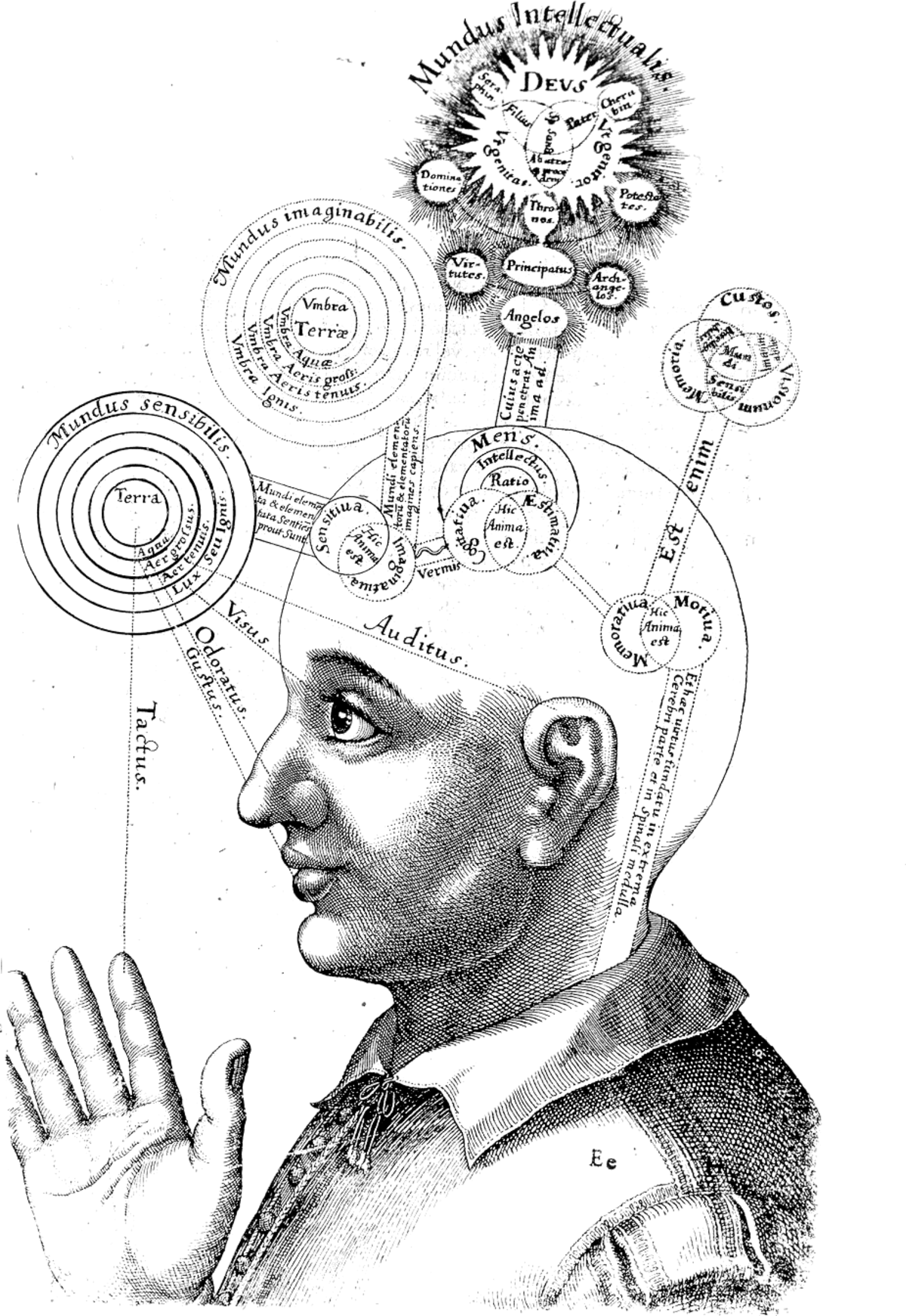 An engraving by Robert Fludd from the 17th century, depicting a human head in profile with various concentric circles and labels illustrating a theory of consciousness. Labels include "Mundus intellectualis" (Intellectual World) with "Deus" (God) at the top, "Mundus imaginabilis" (Imaginary World), and "Mundus sensibilis" (Sensible World) with "Terra" (Earth) at its center, connected to sensory organs like "Visus" (Sight), "Auditus" (Hearing), "Odoratus" (Smell), and "Tactus" (Touch).