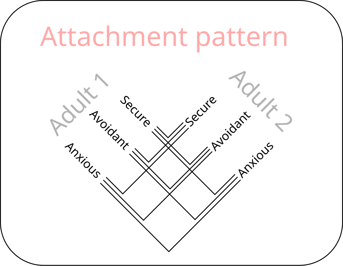 Diagram illustrating adult attachment patterns, showing the interaction between two adults' attachment styles. The styles for Adult 1 and Adult 2 are Secure, Avoidant, and Anxious, with lines connecting potential pairings.