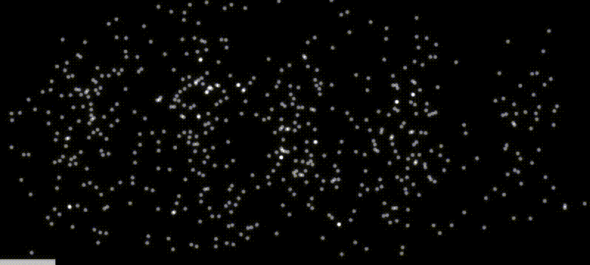 Animated GIF showing the gradual buildup of an electron diffraction pattern over time, illustrating the wave-particle duality in a double-slit experiment. Individual electron detections appear as discrete dots, which collectively form an interference pattern as more electrons accumulate.