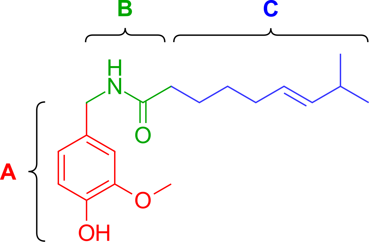 Chemical structure diagram of the capsaicin pharmacophore, showing three main parts labeled A, B, and C. Part A is a red-colored aromatic ring with hydroxyl and methoxy groups, part B is a green-colored amide linkage, and part C is a blue-colored alkyl chain with a double bond and an isopropyl group.