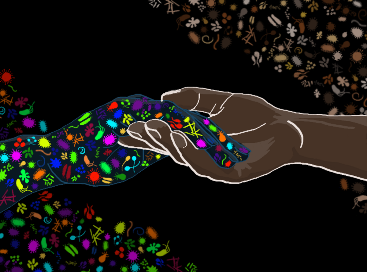 An artistic depiction of a holobiont, showing two hands clasped together, with one hand glowing with a multitude of colorful microorganisms. The other hand is surrounded by similar microorganisms, illustrating the concept of a human and their microbiome.
