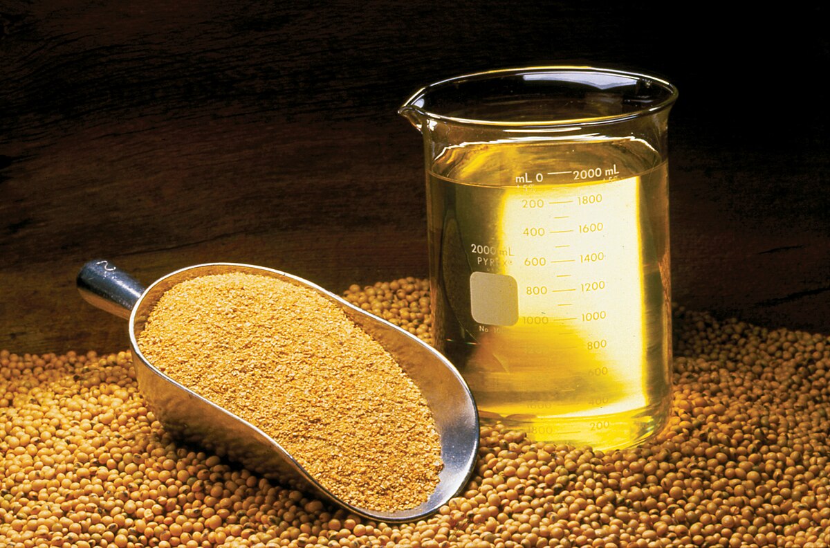 Still life image showing soybean oil, soybean meal, and whole soybeans. A metal scoop holds light brown soybean meal, next to a glass beaker filled with yellow soybean oil, all resting on a bed of small, round soybeans.