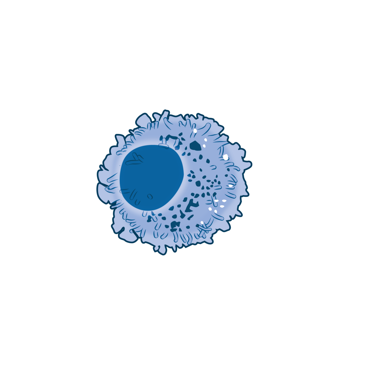 Illustration of a mast cell (NIH BioArt) with a darker, central nucleus surrounded by a lighter cytoplasm containing numerous granules. The cell surface appears irregular and textured.
