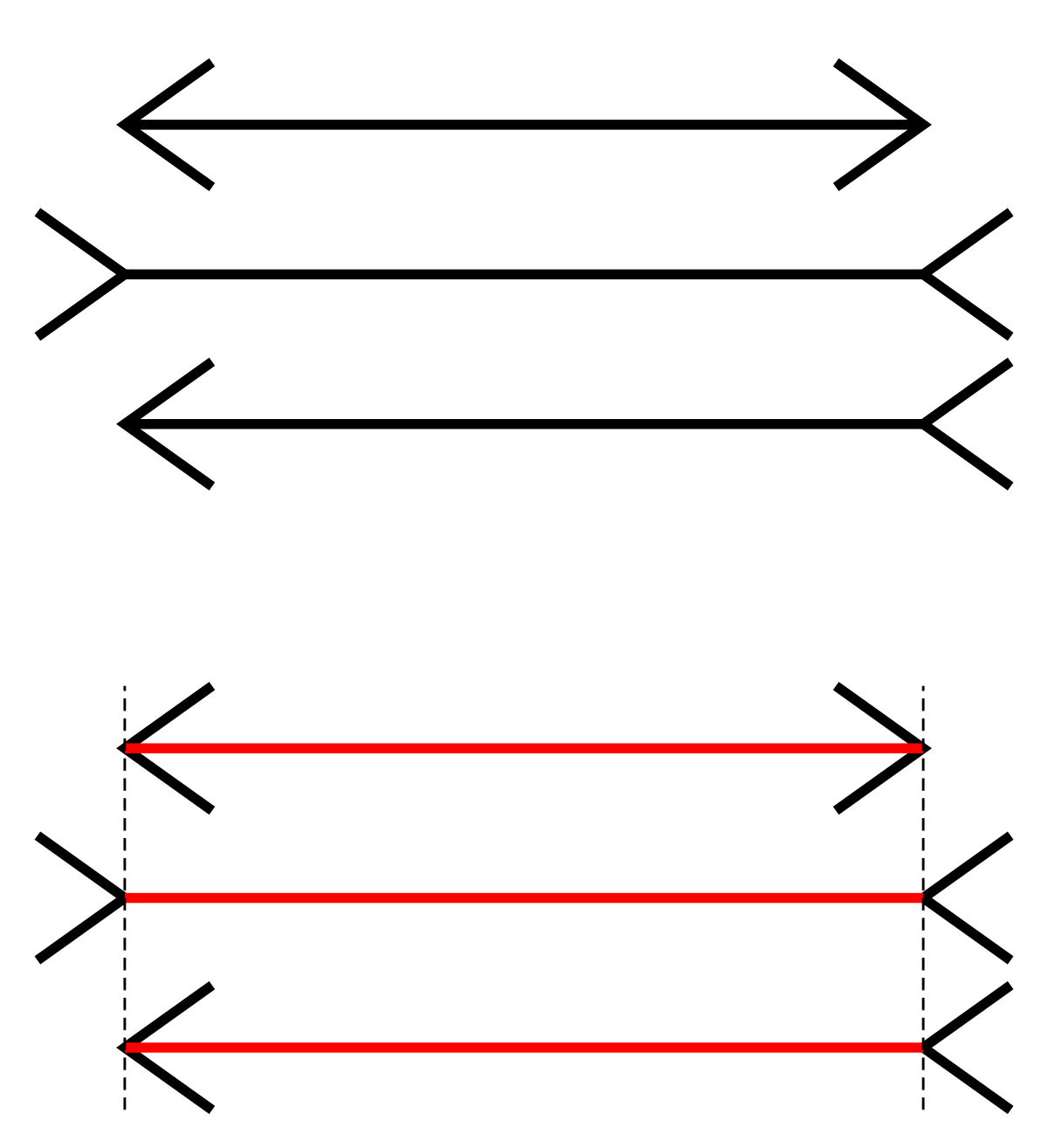 Diagram illustrating the Müller-Lyer illusion, showing two pairs of horizontal lines with inward- or outward-pointing arrowheads. The top pair shows two lines of equal length, while the bottom pair highlights the perceived difference in length with red lines and a dashed vertical line.