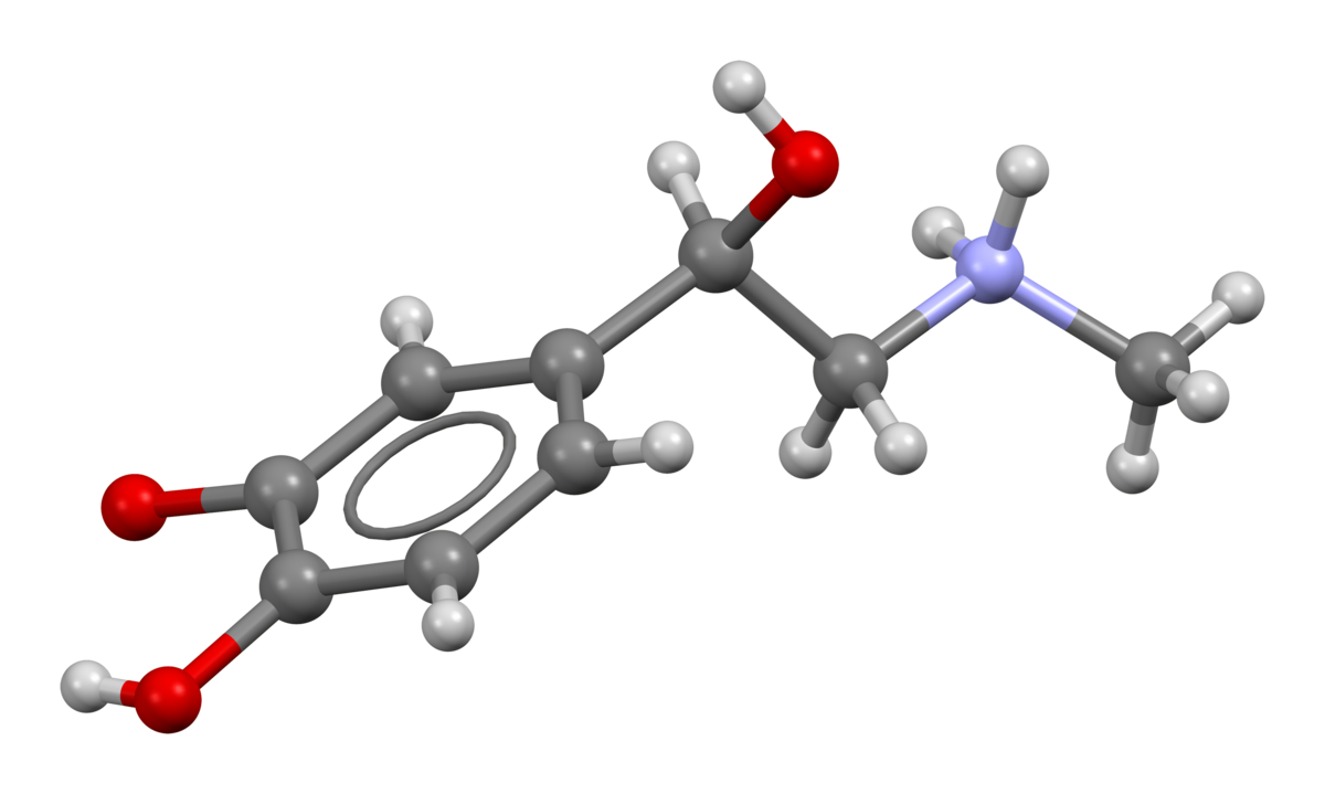 A 3D ball-and-stick model of the adrenaline molecule is shown, with carbon atoms in grey, oxygen in red, nitrogen in blue, and hydrogen in white. The model illustrates the molecular structure and bonding of adrenaline.