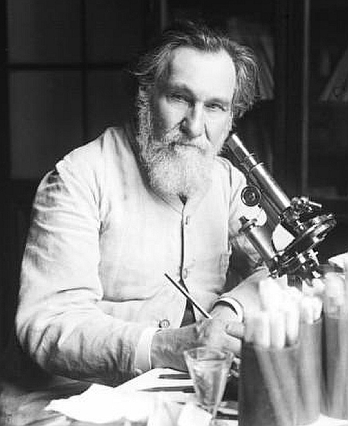 A black and white portrait of Ilya Ilyich Mechnikov, a bearded man, shows him seated at a desk with a microscope and laboratory equipment. He is wearing a light-colored lab coat.