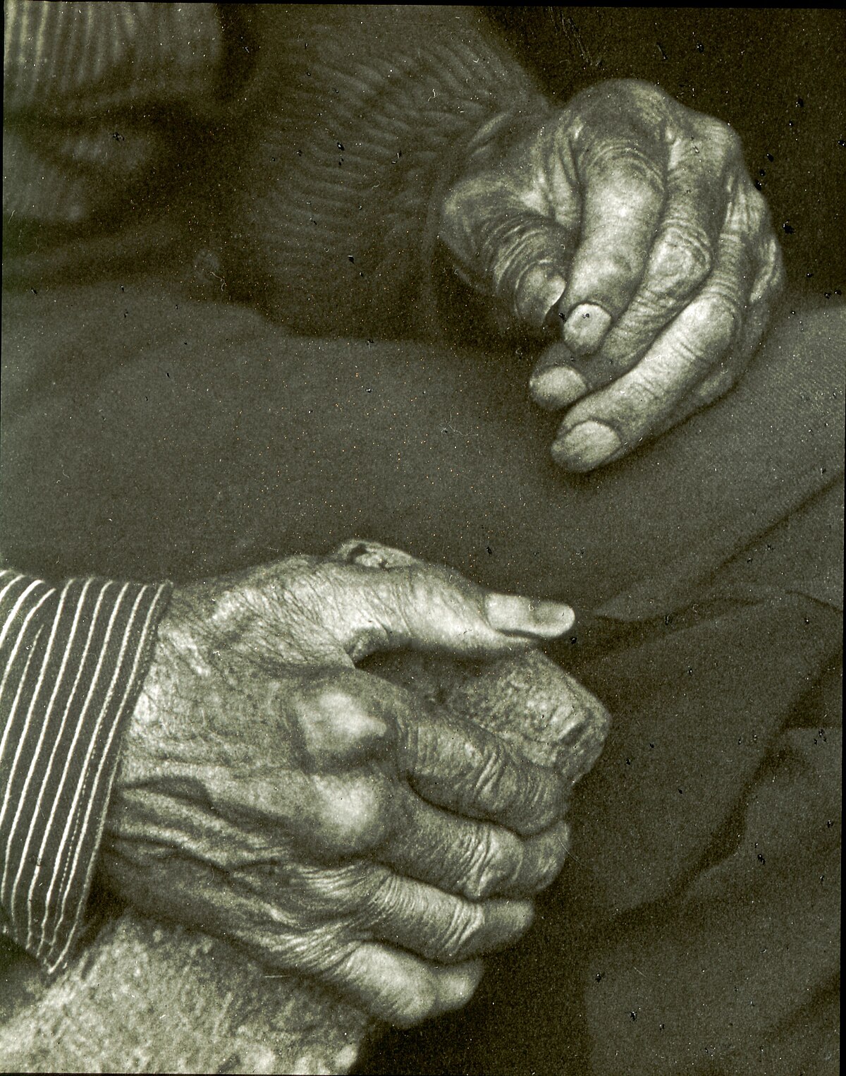 A monochrome photograph by Doris Ulmann titled "Laborers hands", focusing on the gnarled and textured hands of a laborer. The image highlights the details of the skin, knuckles, and veins, conveying a sense of hard work and age.