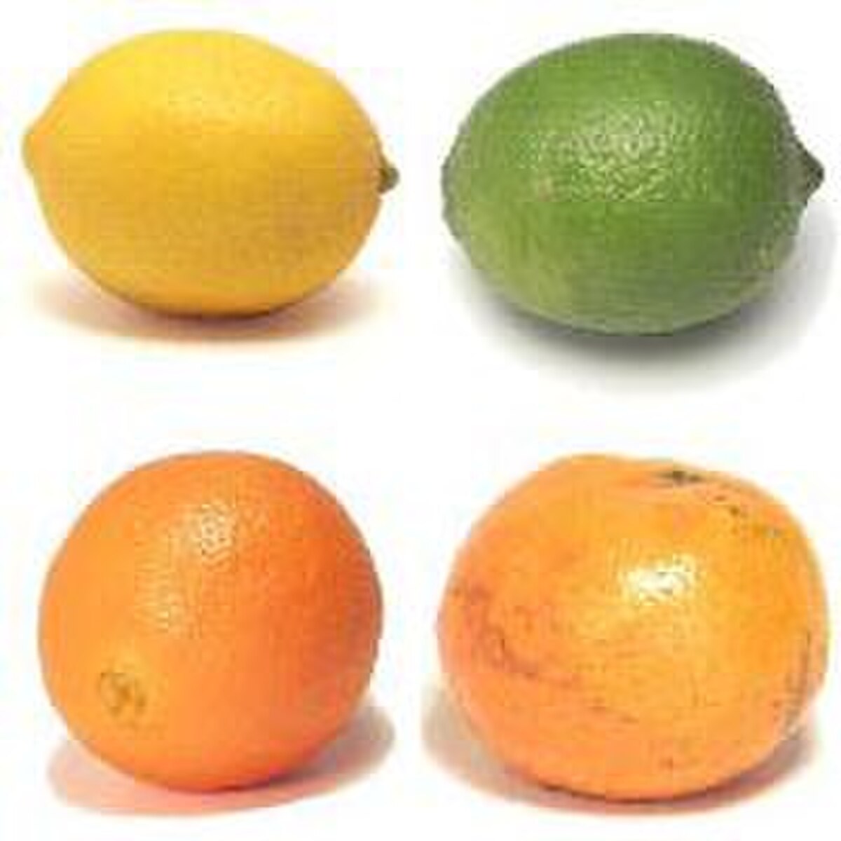 Four citrus fruits are arranged in a square: a yellow lemon, a green lime, and two orange oranges. Citrus peels are a natural source of pectin.