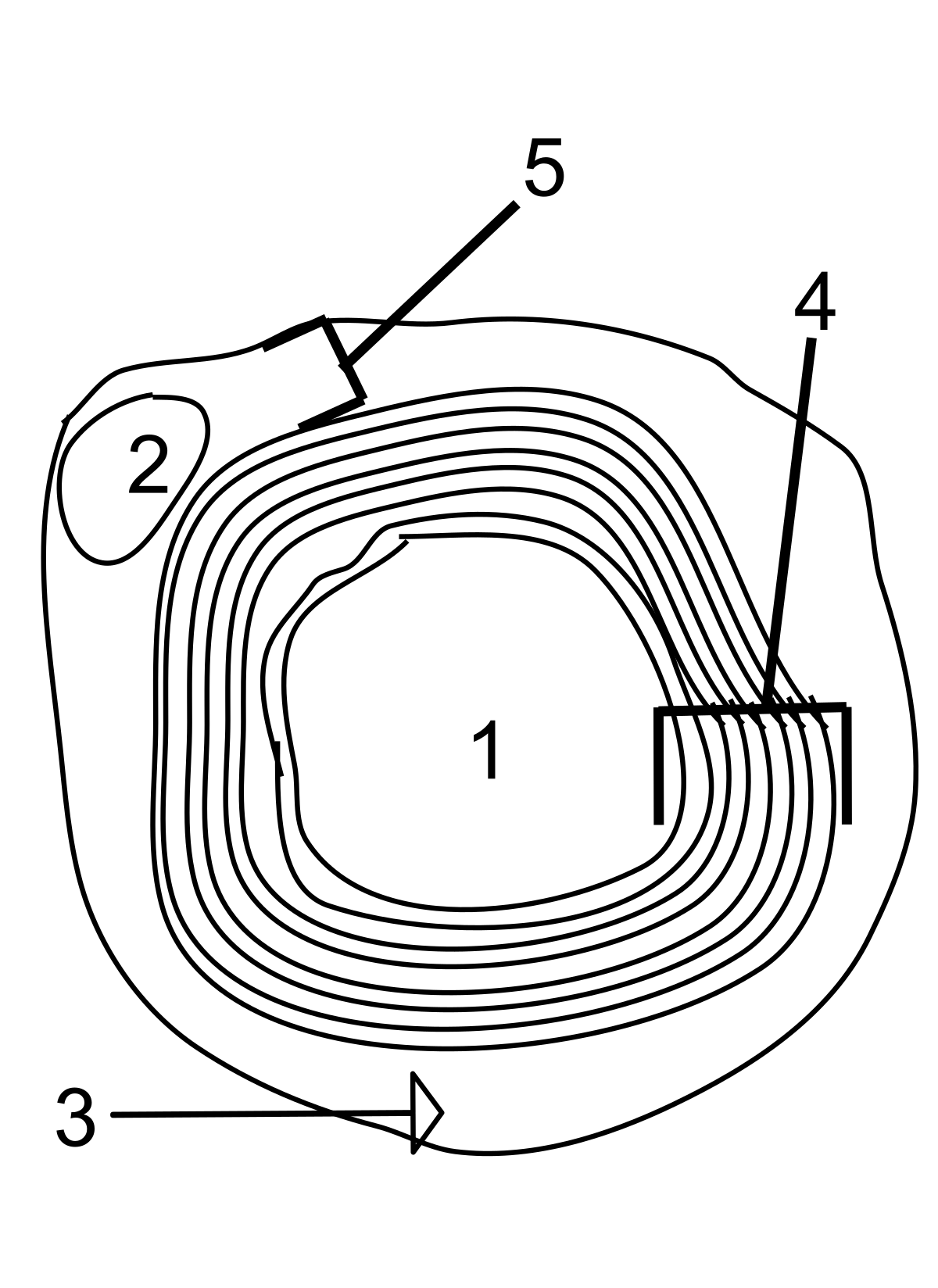 Cross-section diagram of an axon, showing its internal structure and surrounding layers. Labeled components are (1) Axon, (2) Nucleus, (3) Schwann cell, (4) Myelin sheath, and (5) Neurilemma.