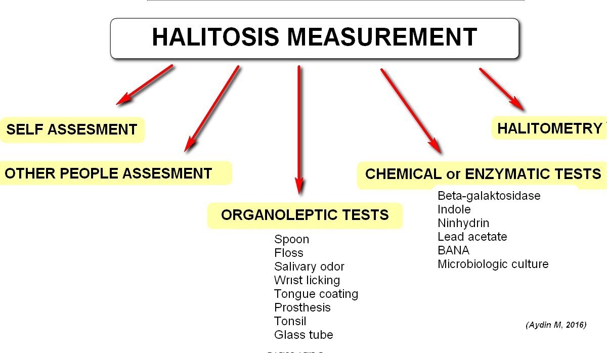 A flowchart illustrating various diagnostic tests for halitosis, titled "HALITOSIS MEASUREMENT". Categories include "SELF ASSESMENT", "OTHER PEOPLE ASSESMENT", "ORGANOLEPTIC TESTS", "CHEMICAL or ENZYMATIC TESTS", and "HALITOMETRY". Organoleptic tests list methods like "Spoon", "Floss", "Salivary odor", "Wrist licking", "Tongue coating", "Prosthesis", "Tonsil", and "Glass tube", while chemical tests include "Beta-galaktosidase", "Indole", "Ninhydrin", "Lead acetate", "BANA", and "Microbiologic culture".